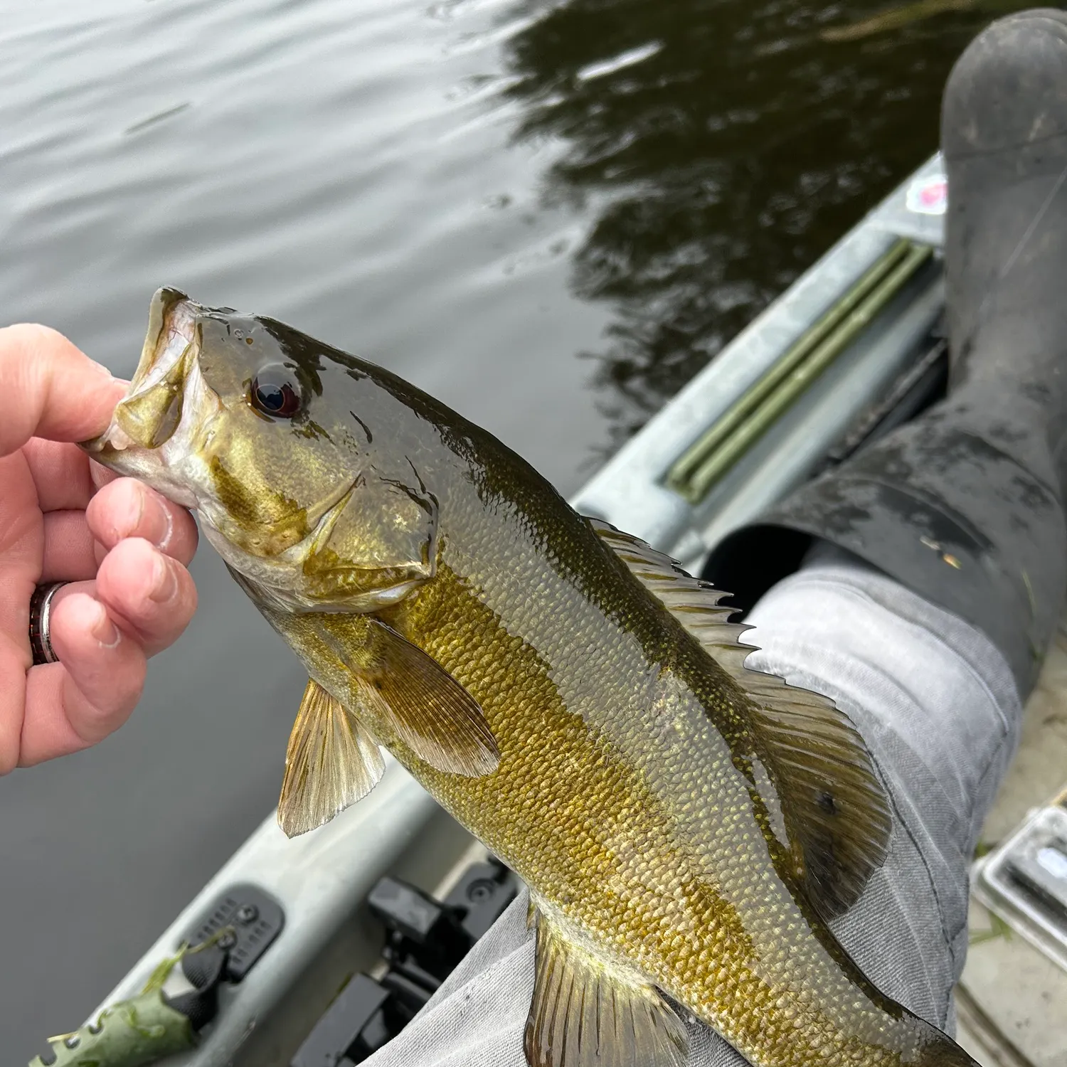 most liked catch image