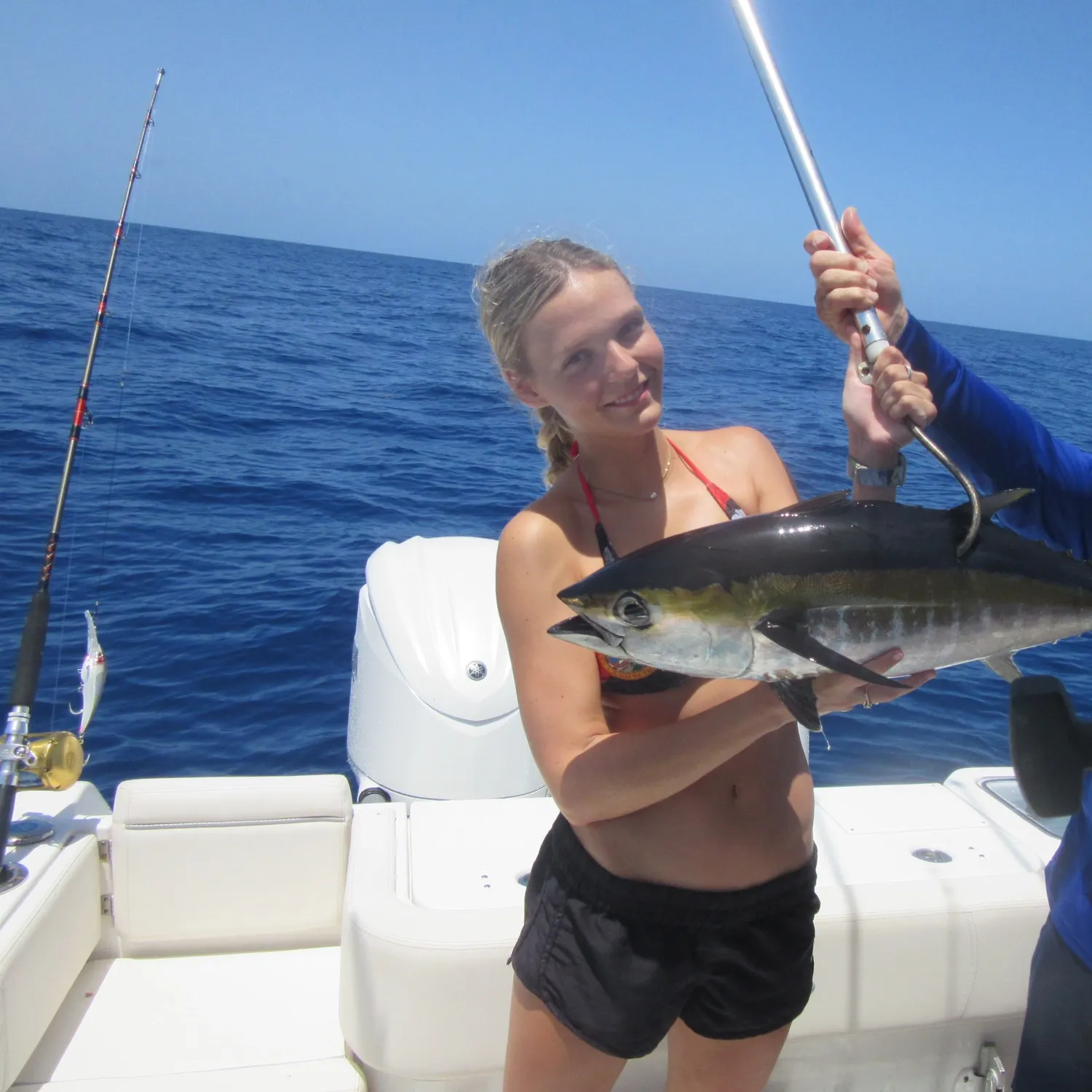 The most recent Blackfin tuna catches on Fishbrain