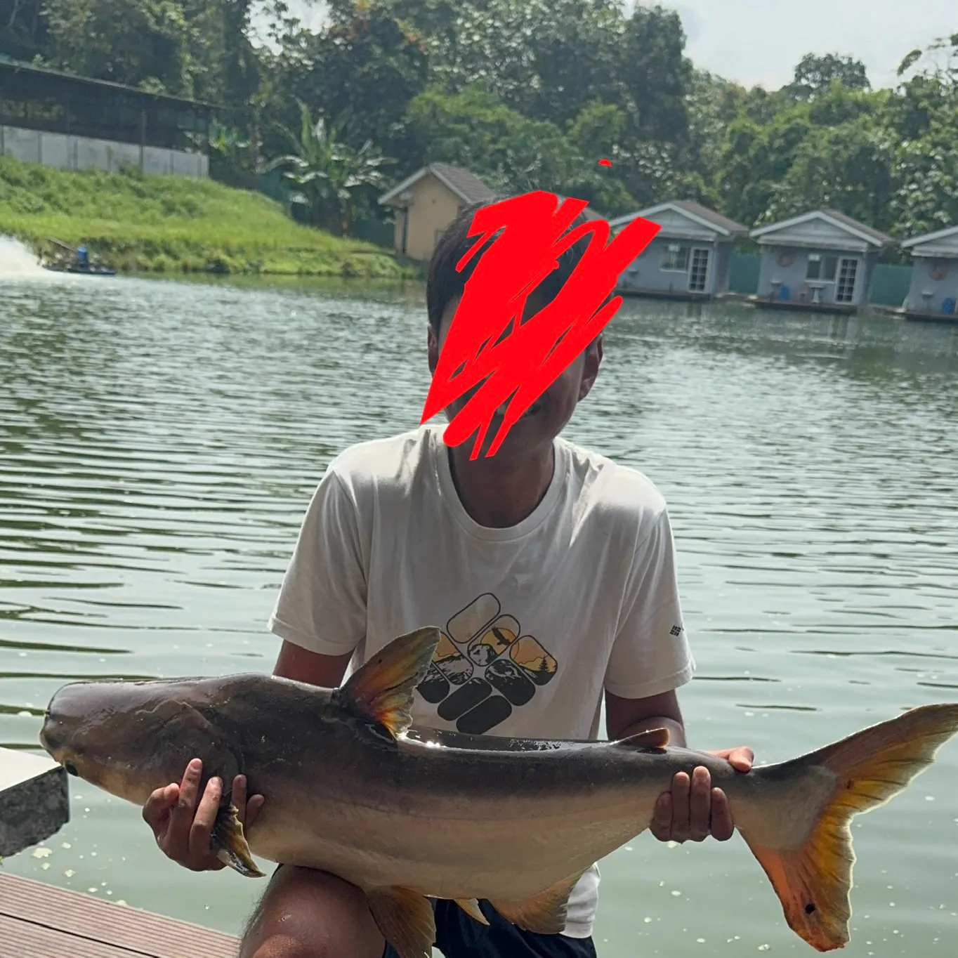 The most recent Mekong giant catfish catches on Fishbrain