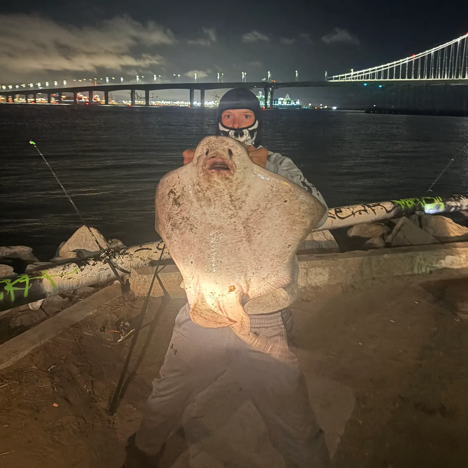 The most recent Bat eagle ray catches on Fishbrain