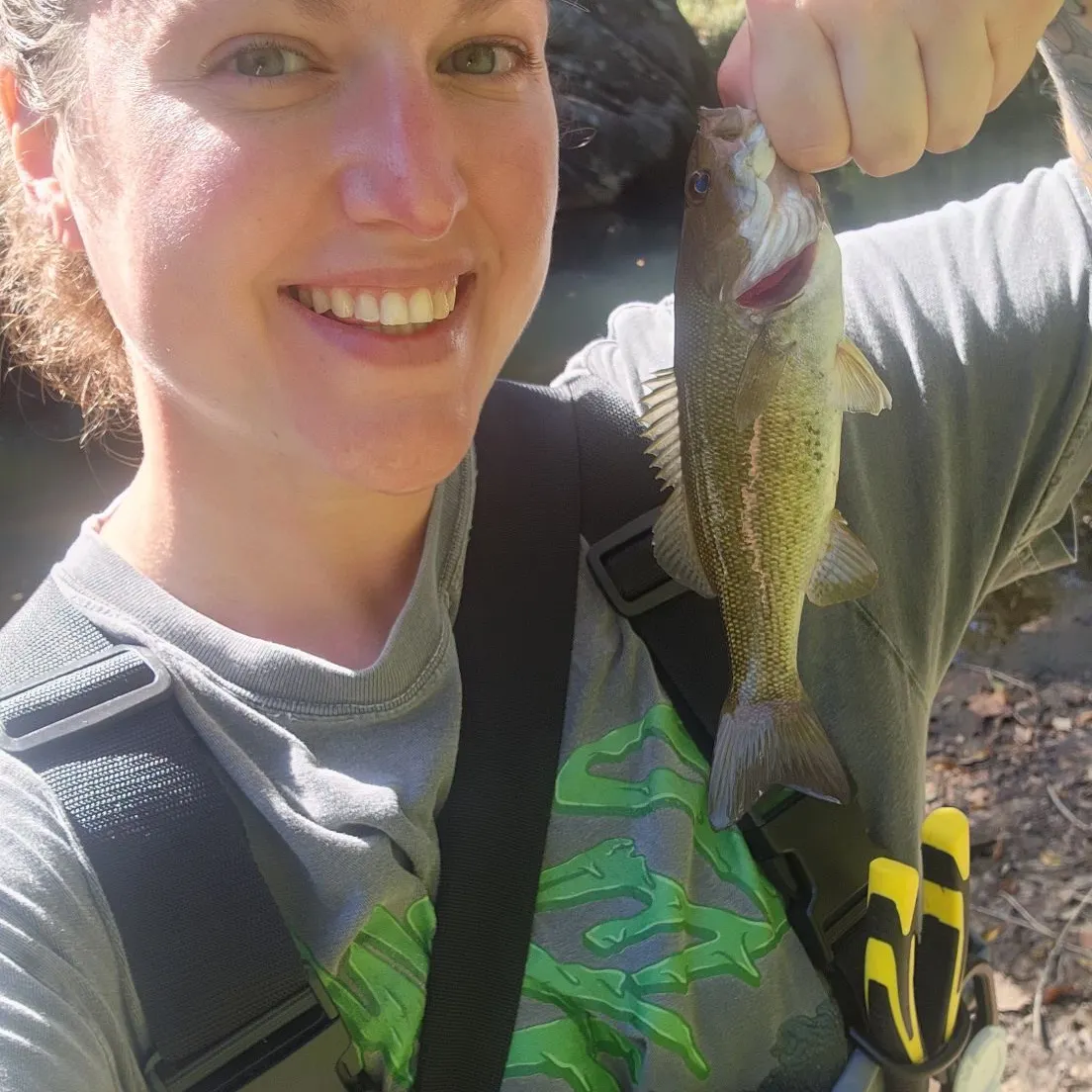 Smallmouth bass caught on Fishbrain