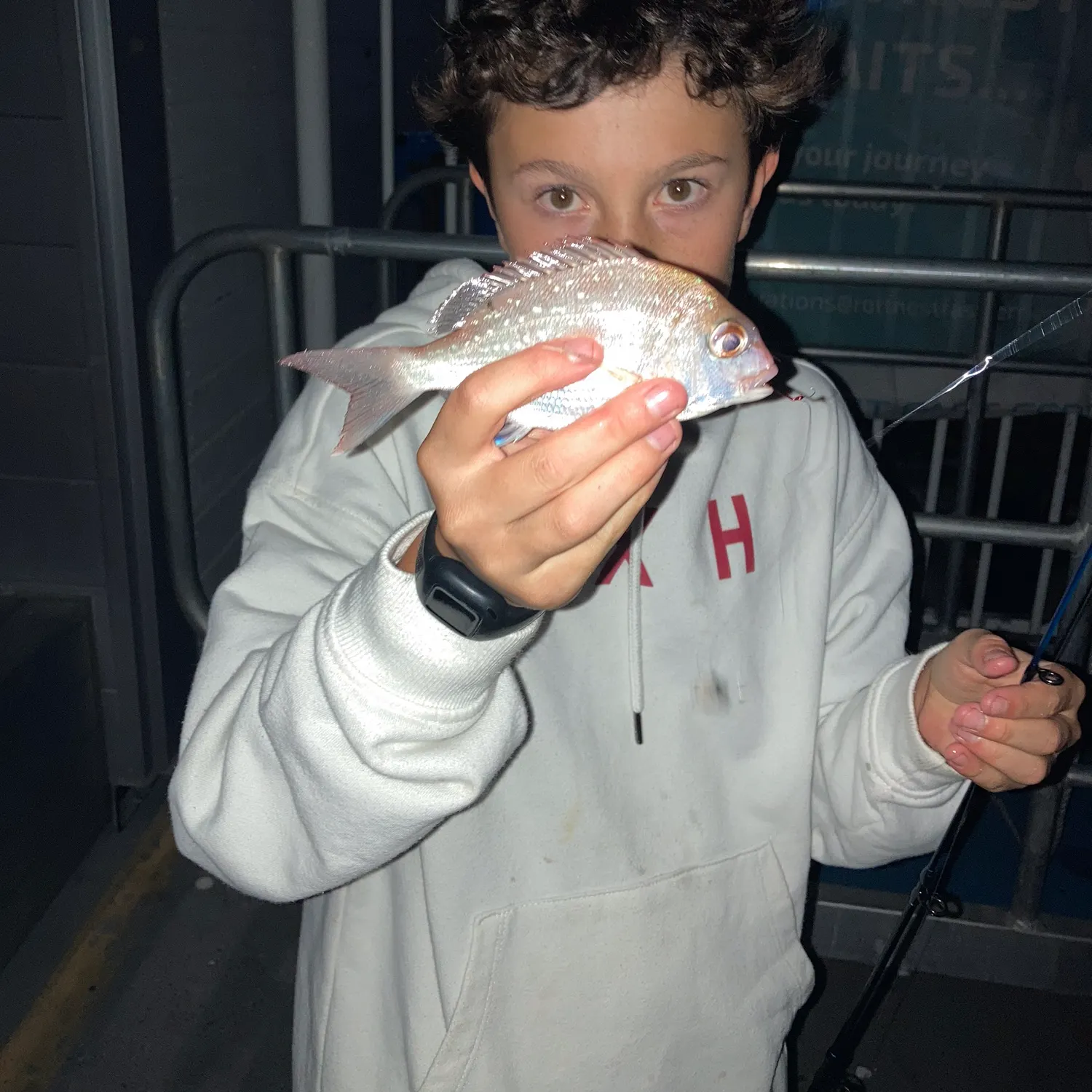 The most recent Australasian snapper catches on Fishbrain