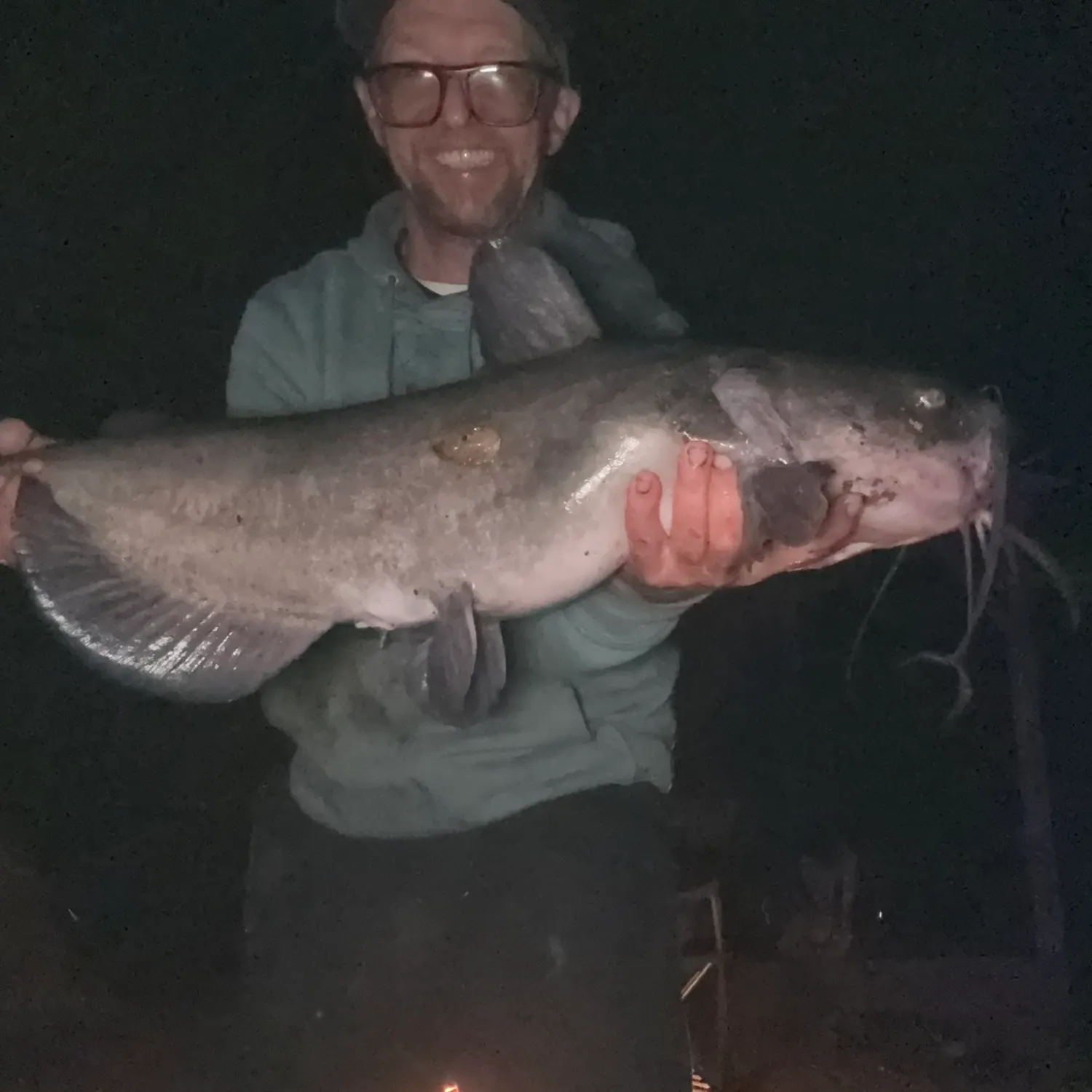Channel catfish caught on Fishbrain