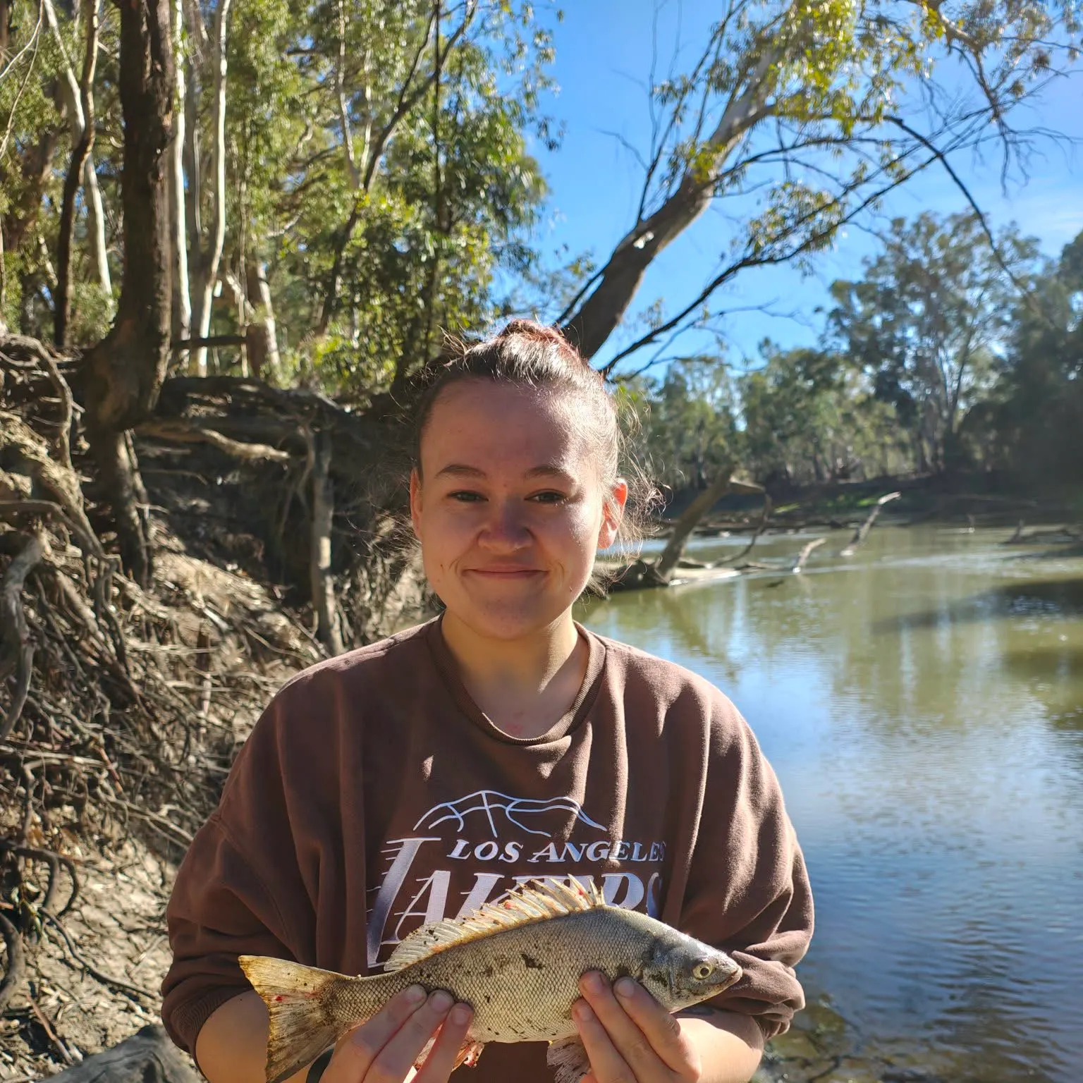 The most recent Bidyan perch catches on Fishbrain