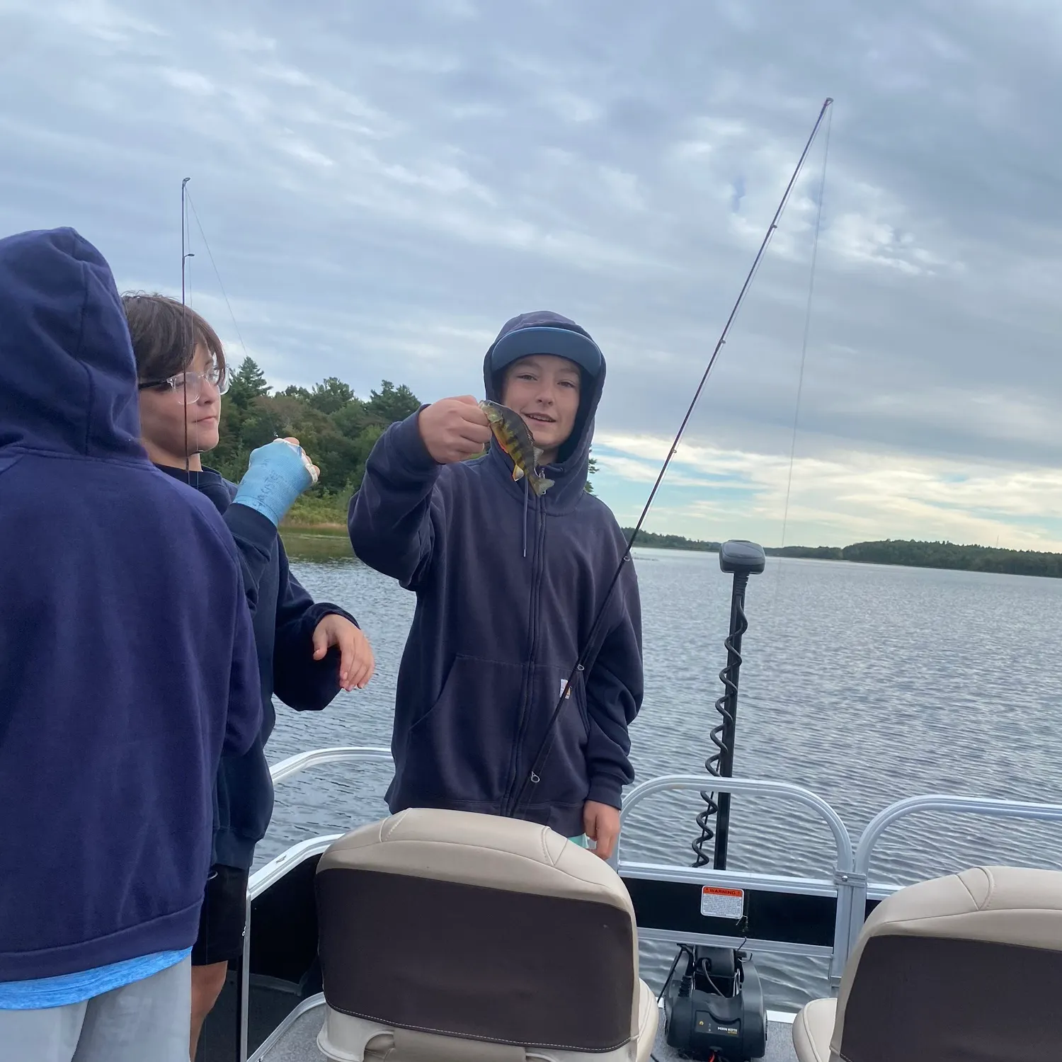 Yellow perch caught on Fishbrain
