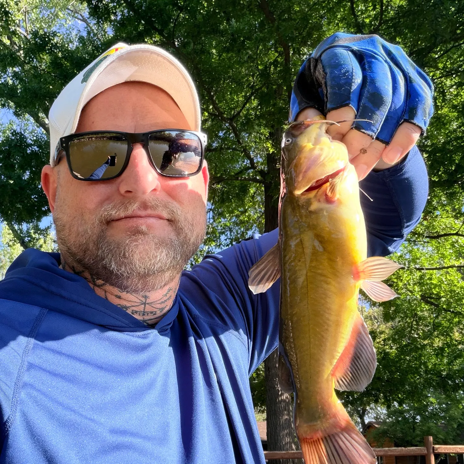 Yellow bullhead caught on Fishbrain