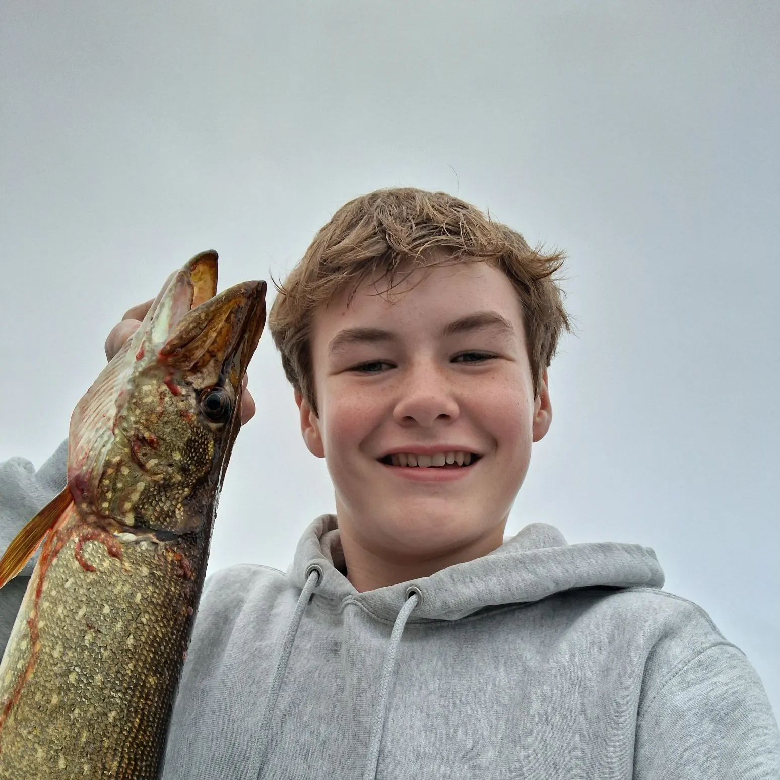 Northern pike caught on Fishbrain