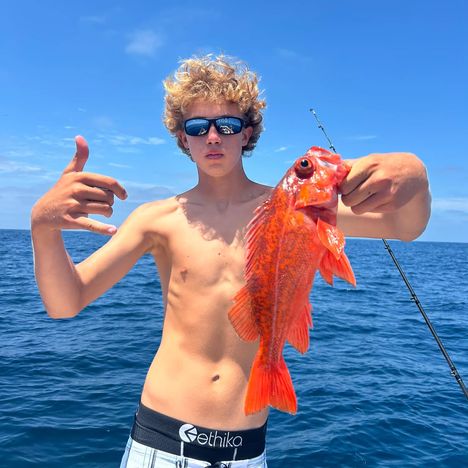 The most recent Cowcod rockfish catches on Fishbrain