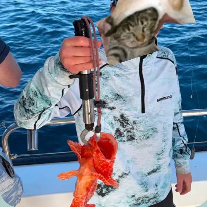 The most recent Eastern red scorpionfish catches on Fishbrain