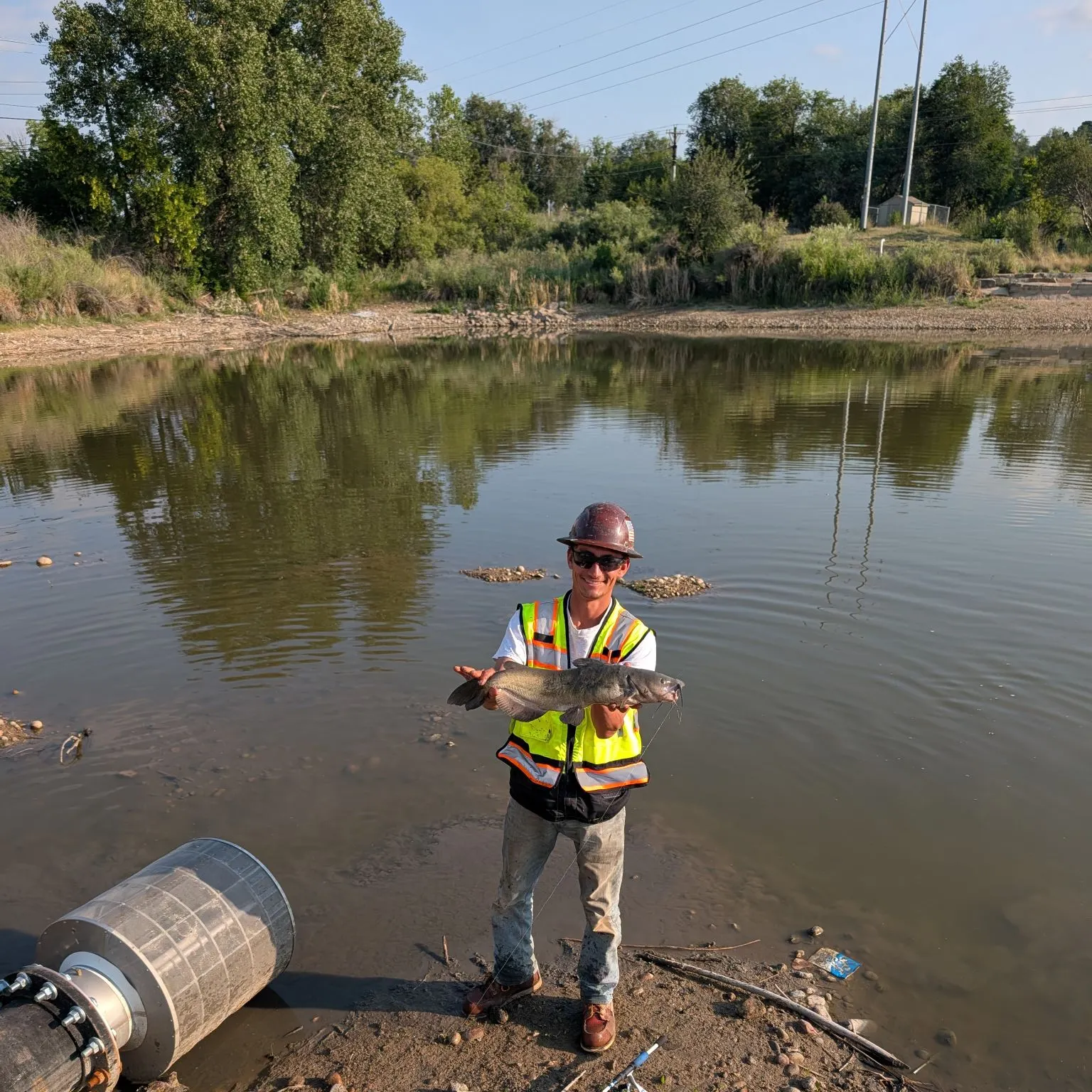 Channel catfish caught on Fishbrain