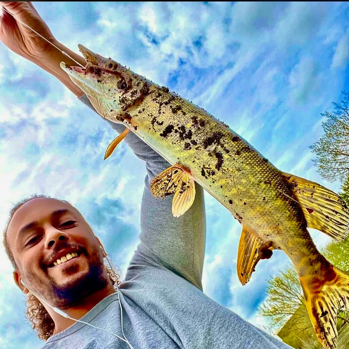 Northern pike caught on Fishbrain