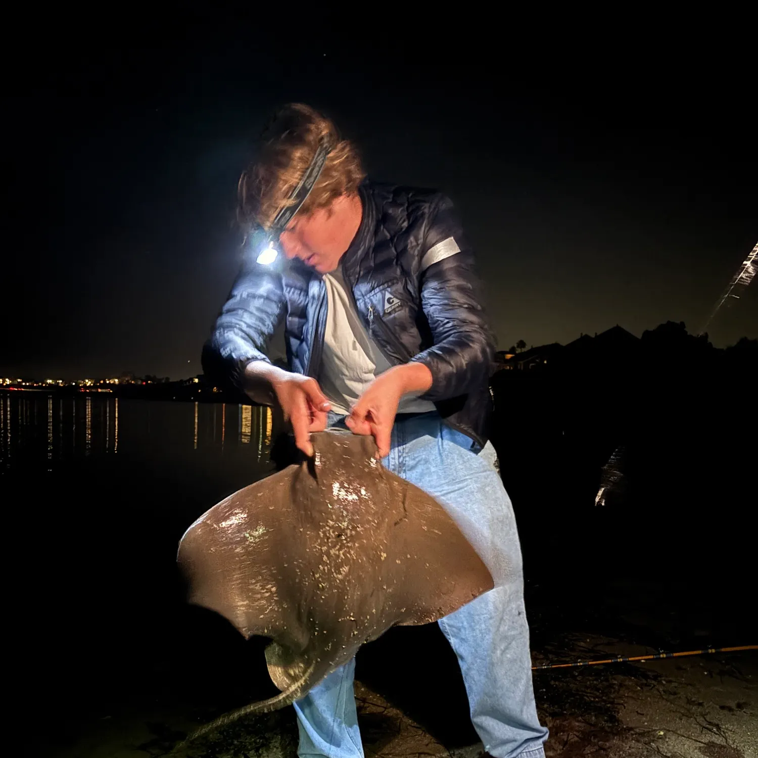 The most recent Whale shark catches on Fishbrain