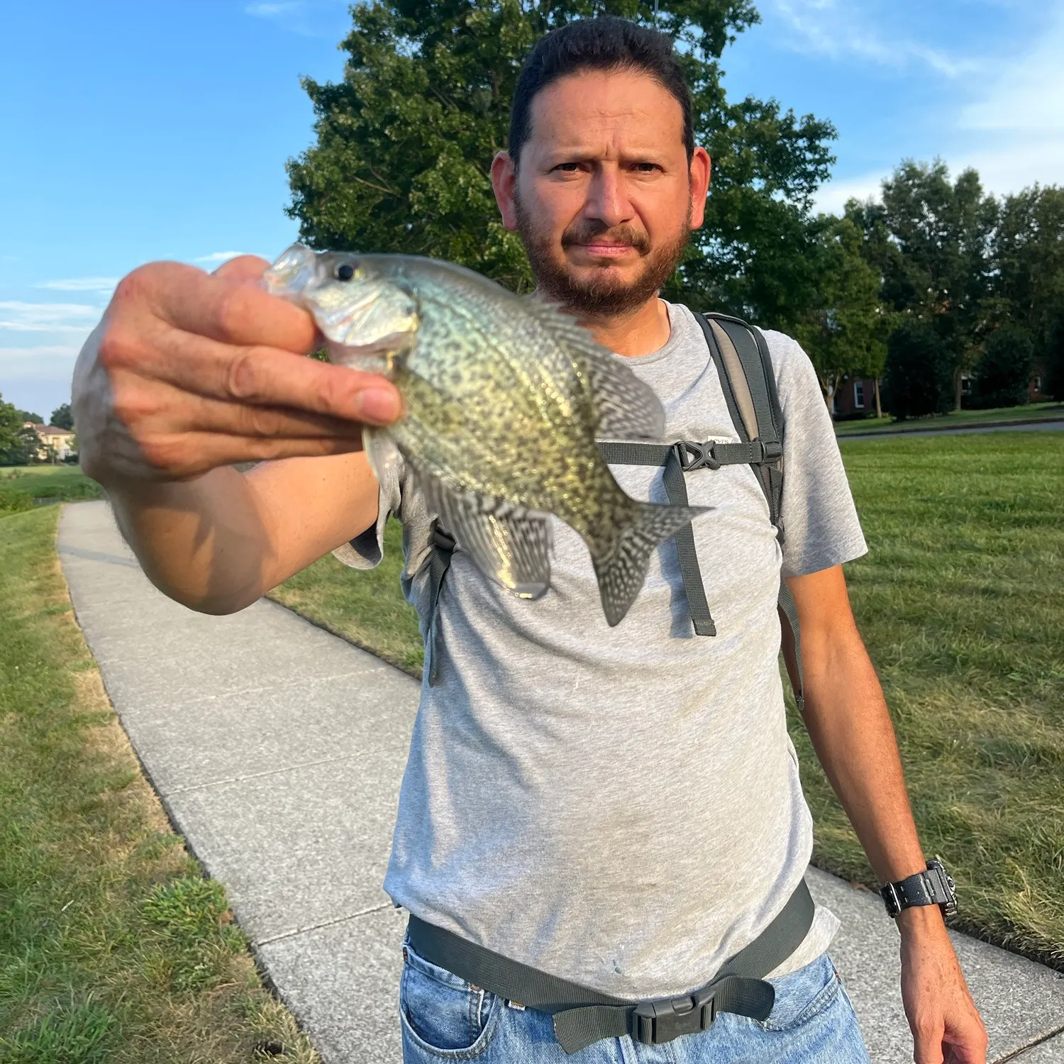Black crappie caught on Fishbrain