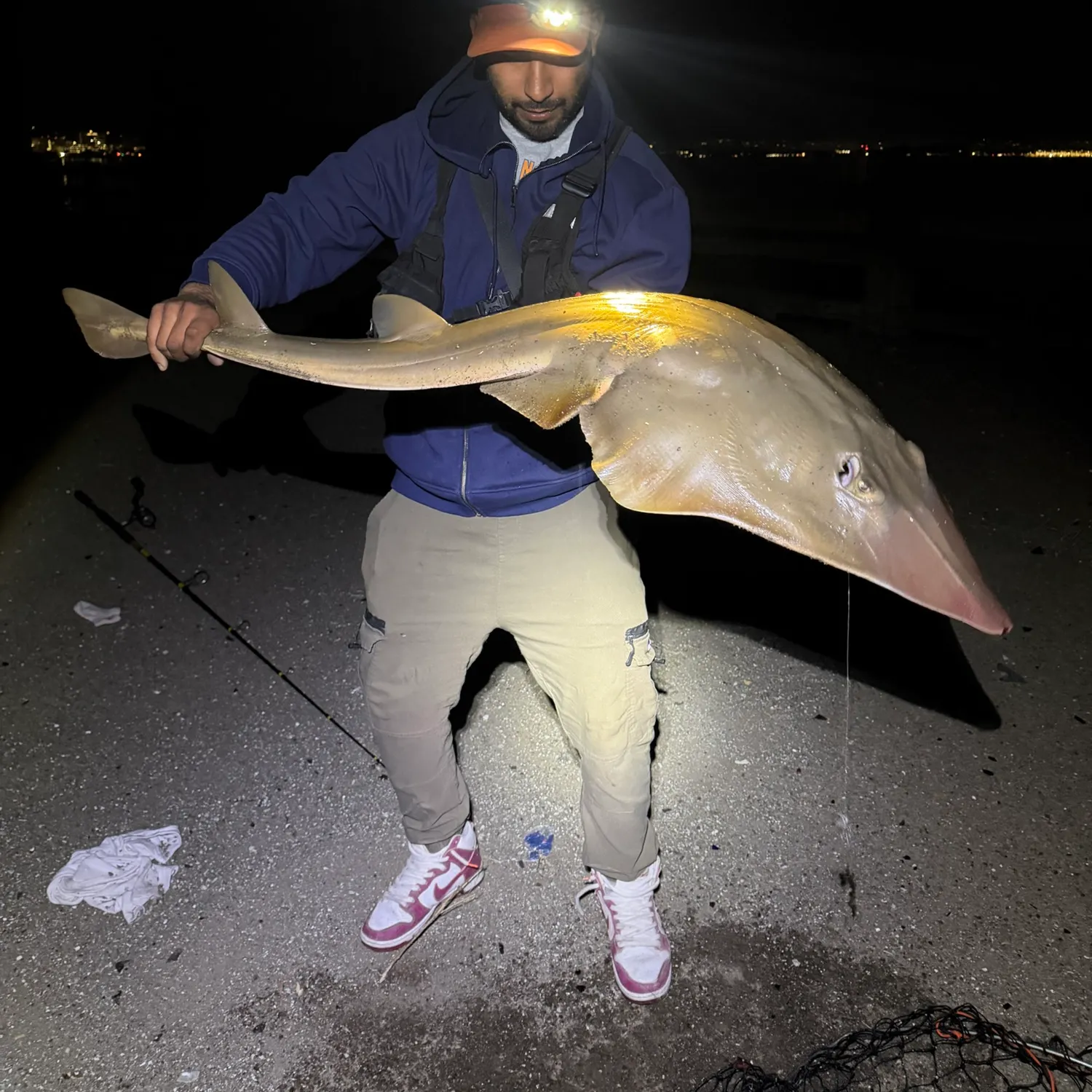 Pacific shovelnose guitarfish caught on Fishbrain