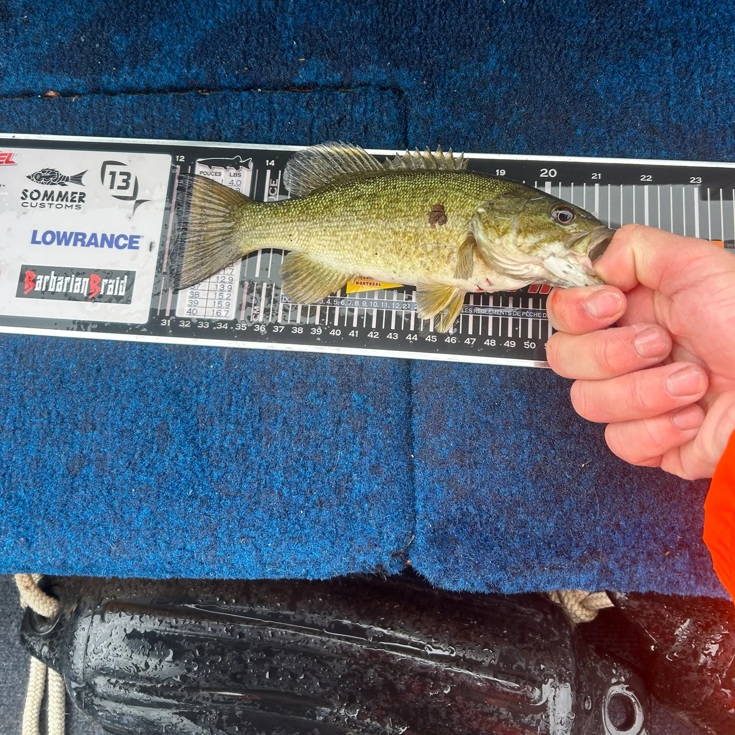 recently logged catches