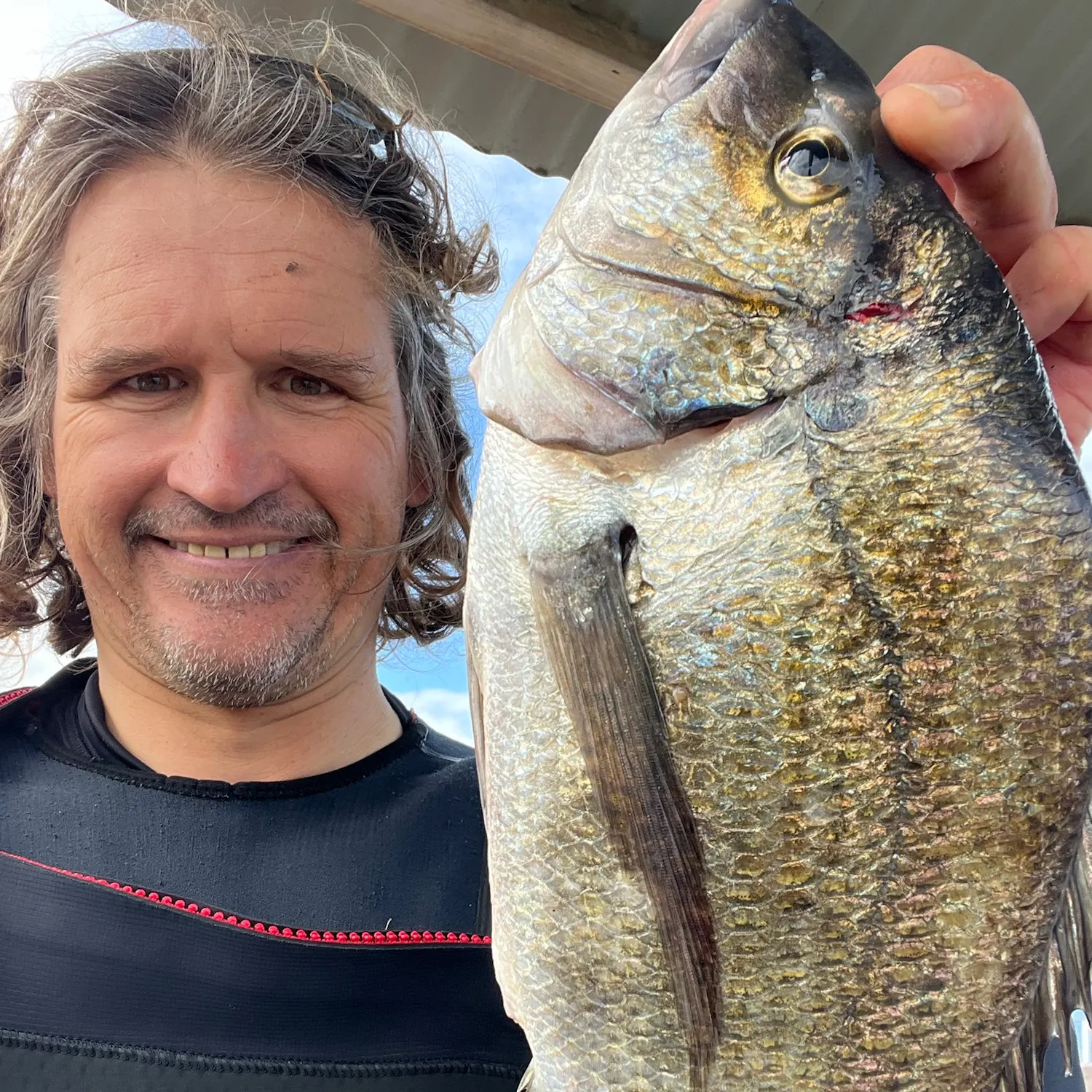 Southern black bream caught on Fishbrain