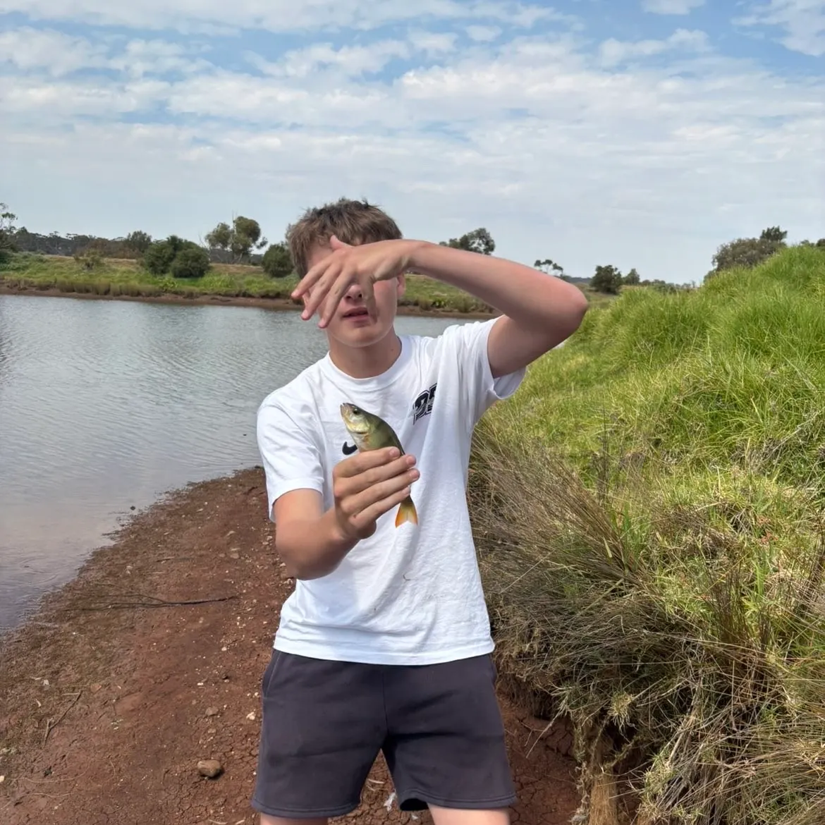 The most recent European perch catches on Fishbrain