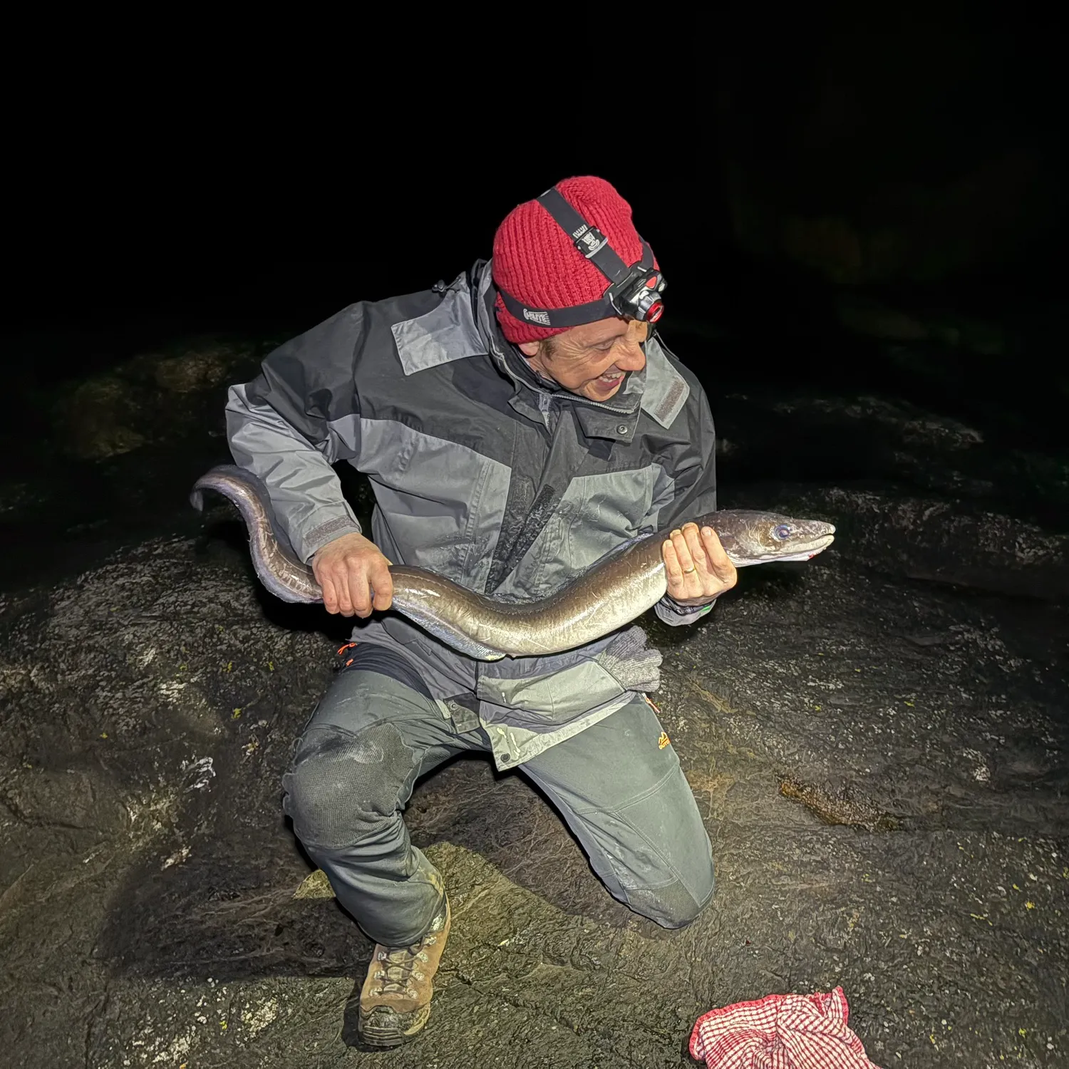 The most recent European eel catches on Fishbrain