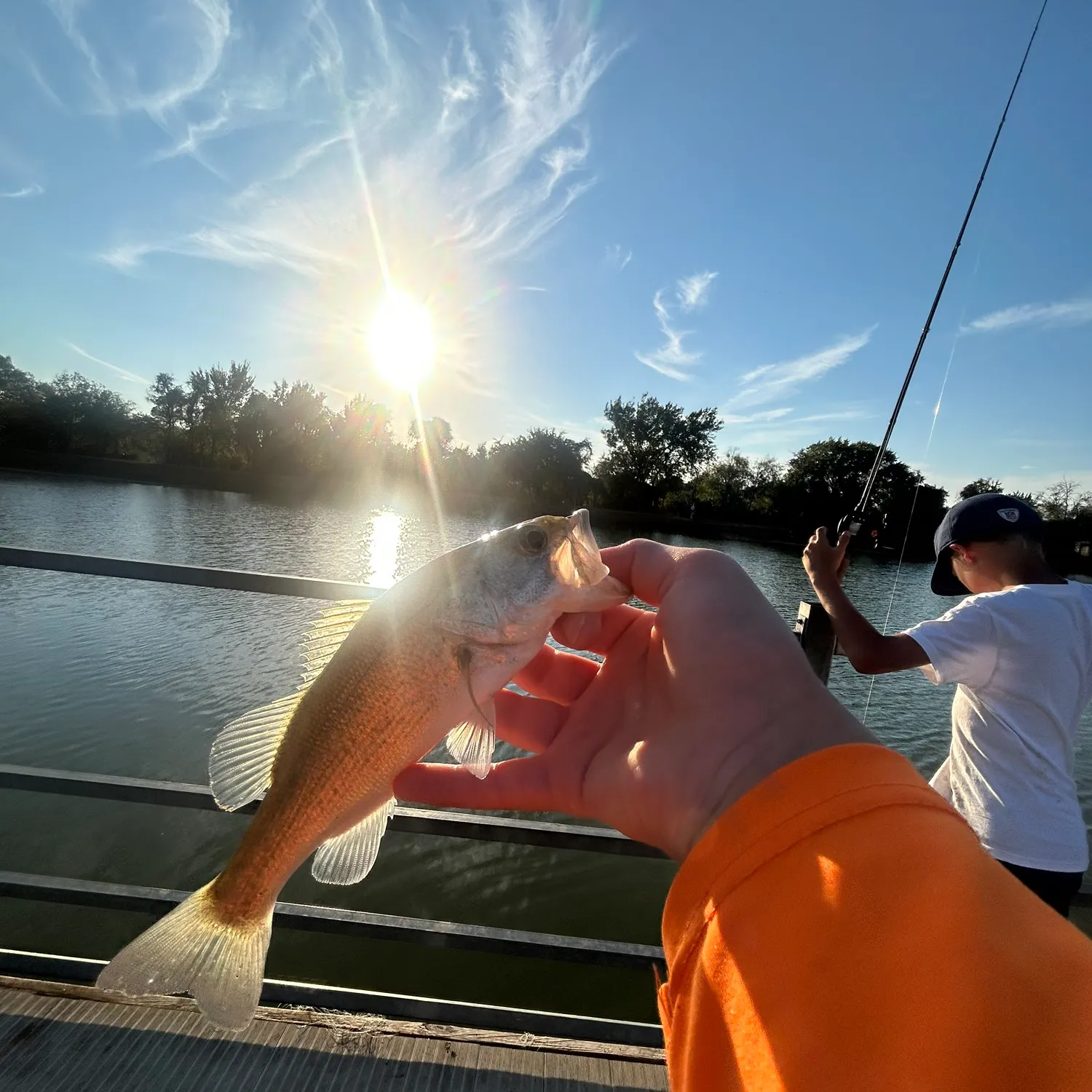 Fish caught on Fishbrain