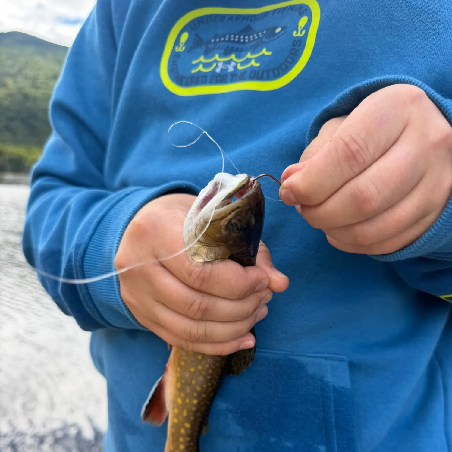 Brook trout caught on Fishbrain