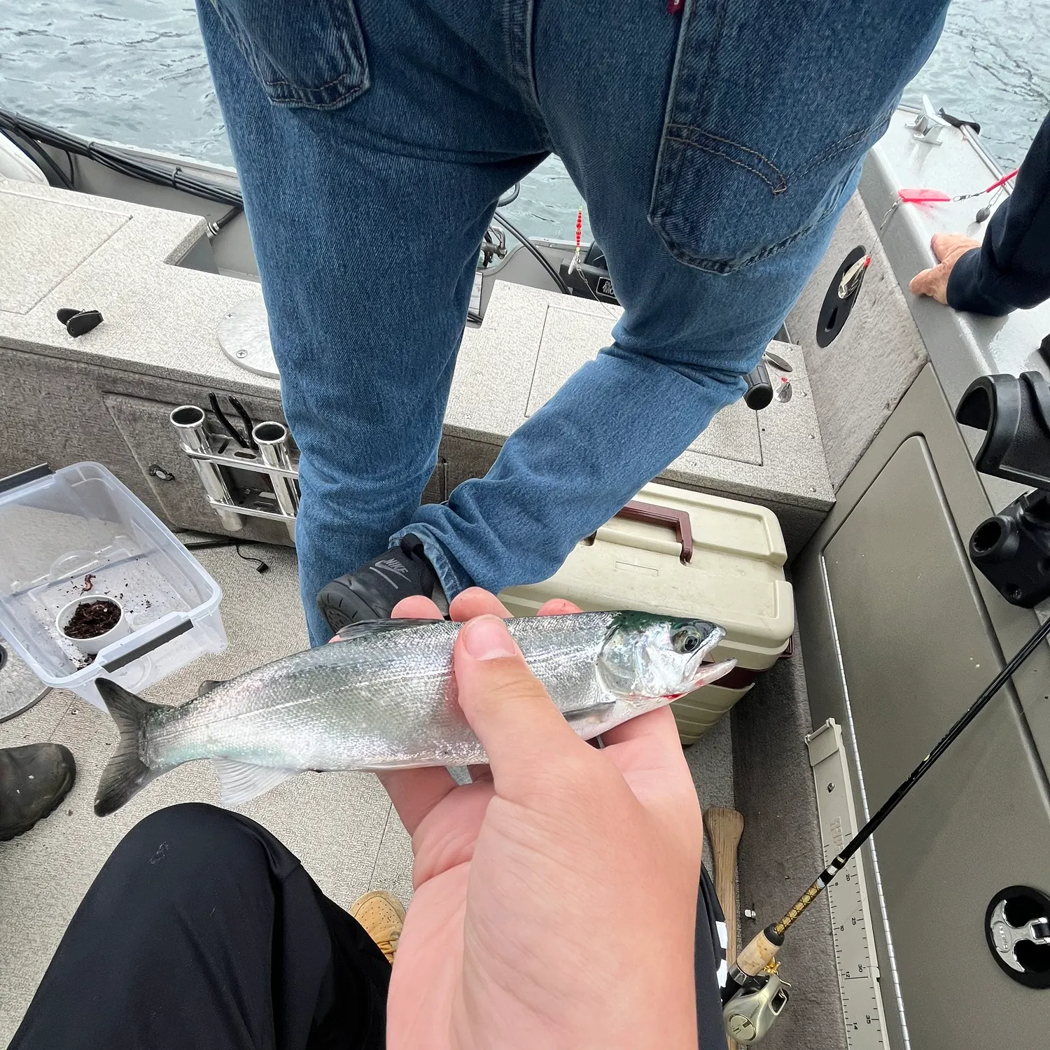 catch