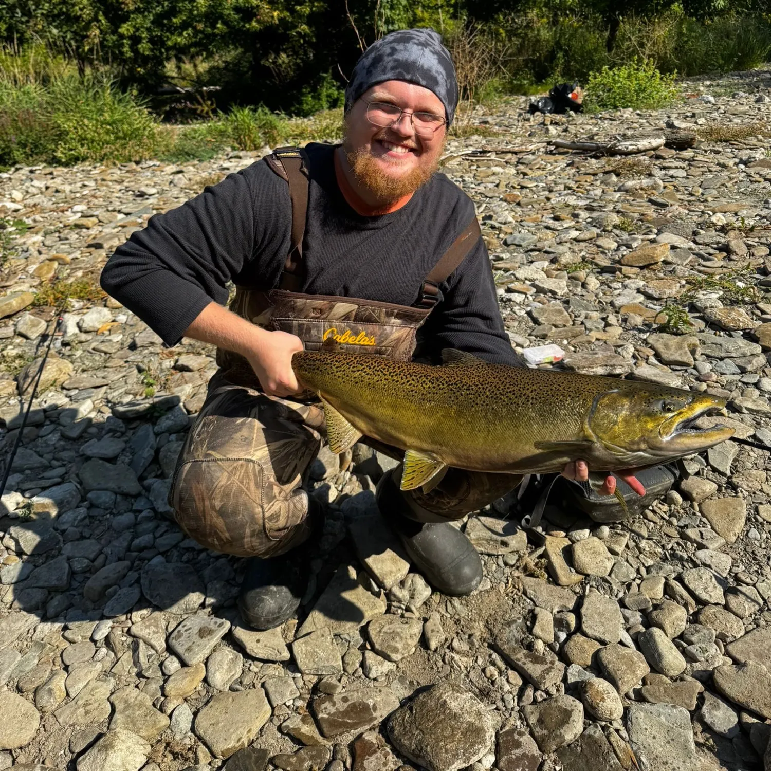 Chinook salmon caught on Fishbrain
