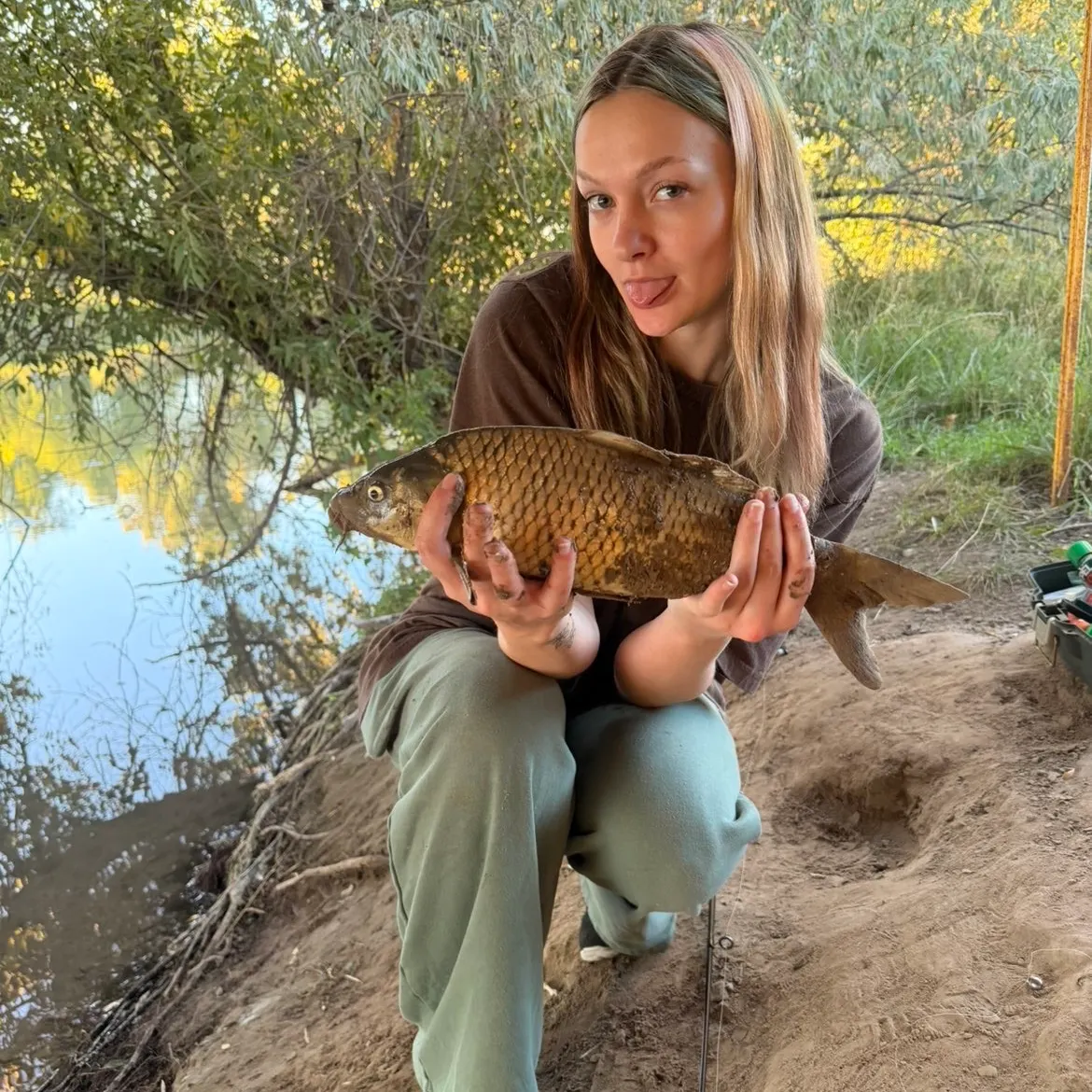 Common carp caught on Fishbrain