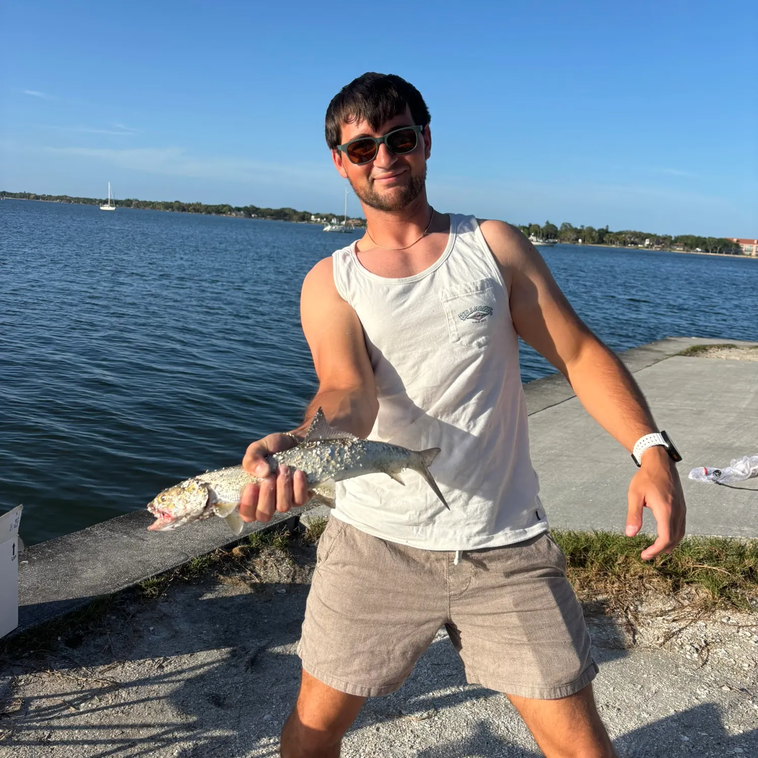 The most recent Ladyfish catches on Fishbrain