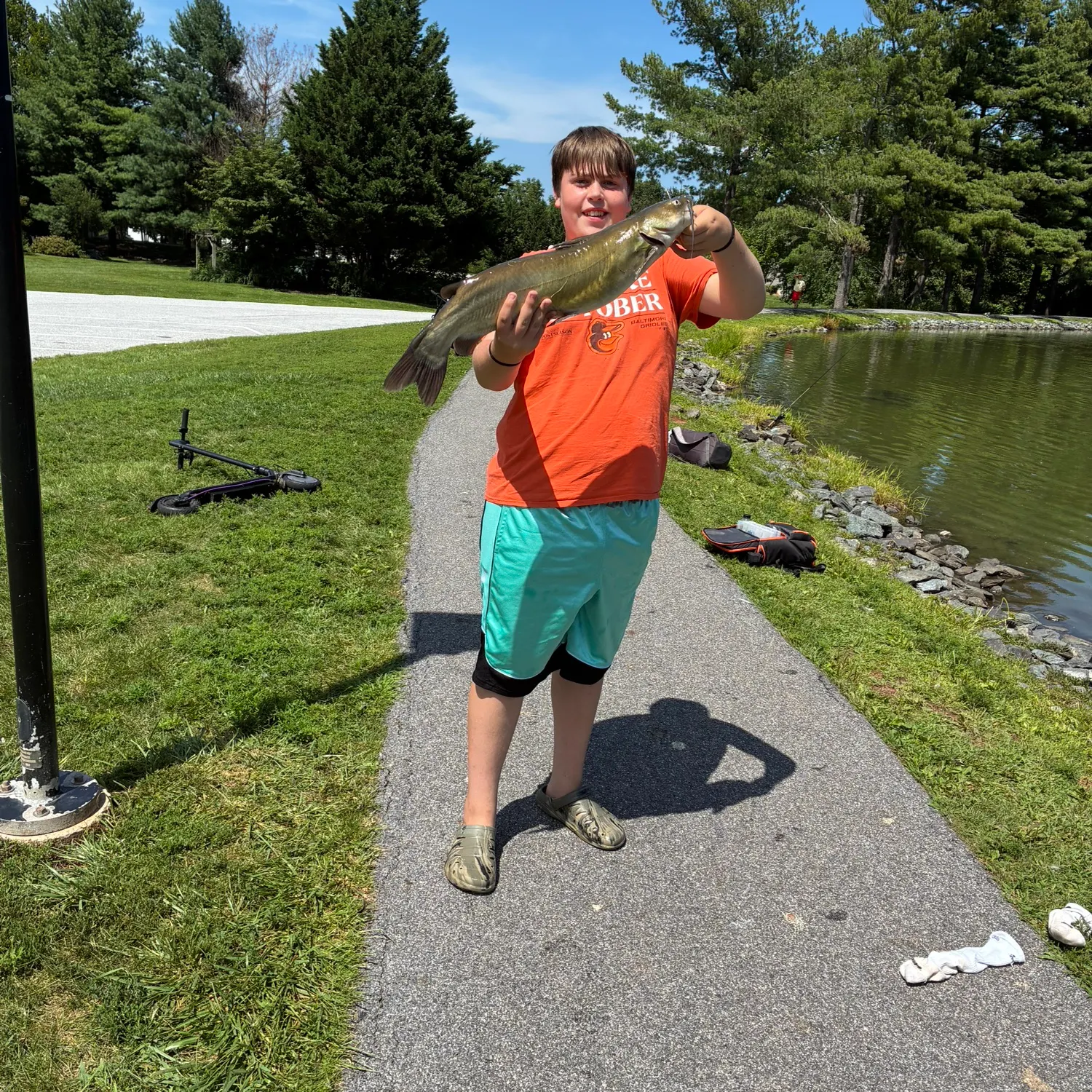 Channel catfish caught on Fishbrain