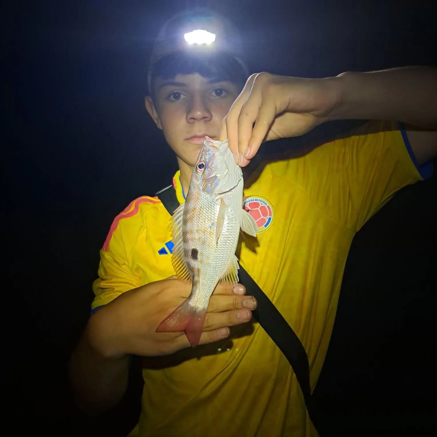 Lane snapper caught on Fishbrain