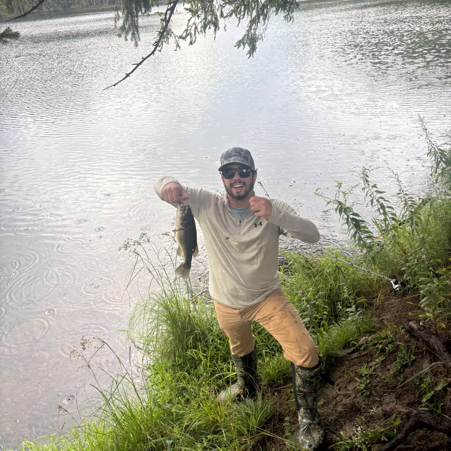 Largemouth bass caught on Fishbrain