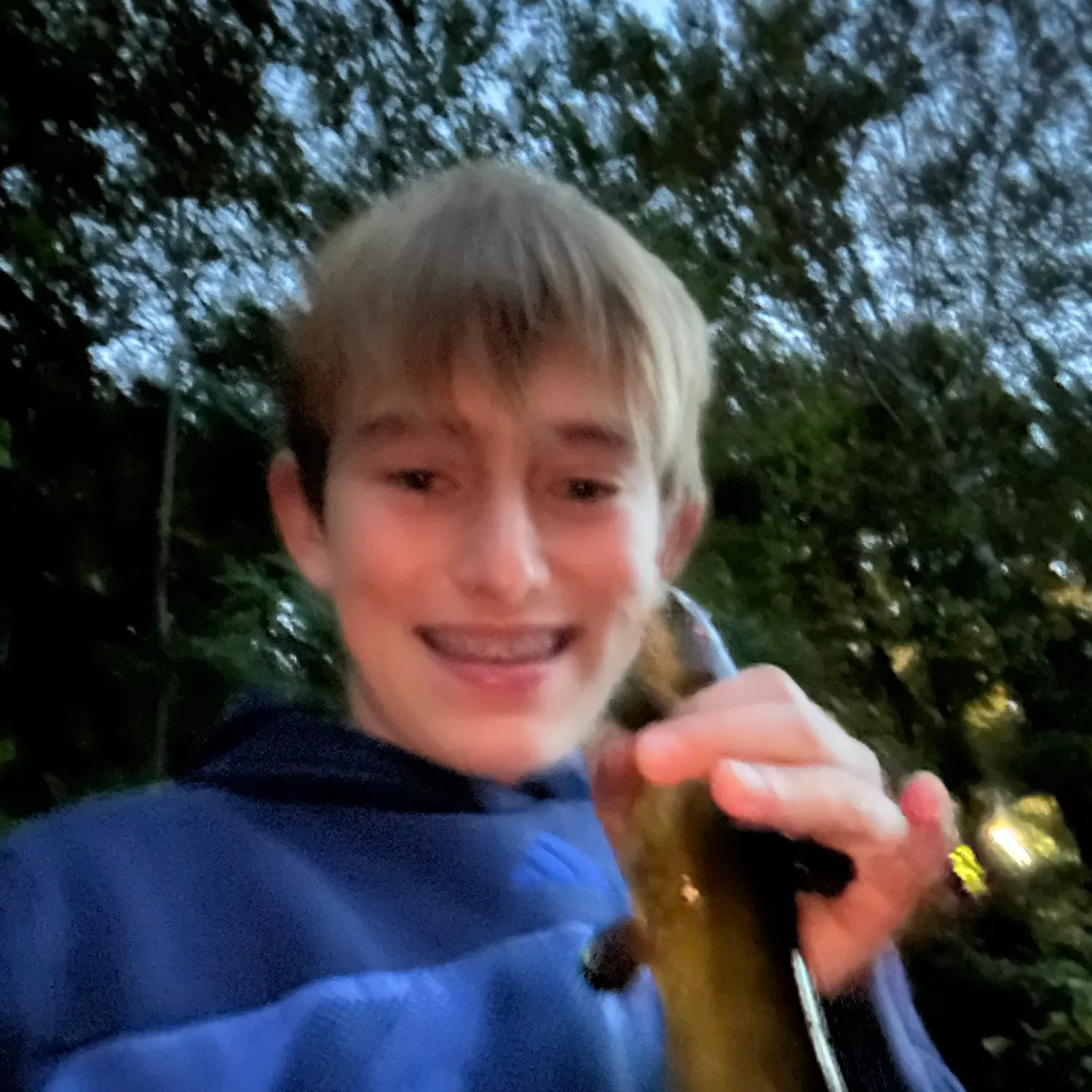 Yellow bullhead caught on Fishbrain