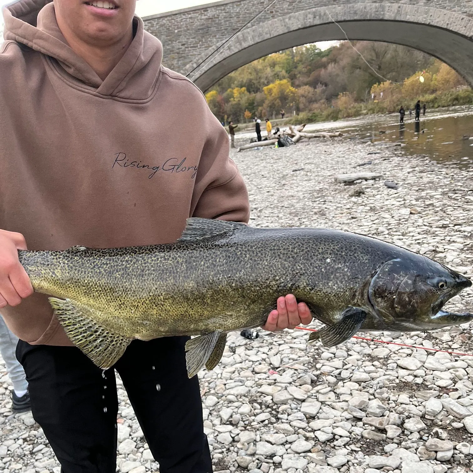 Chinook salmon caught on Fishbrain