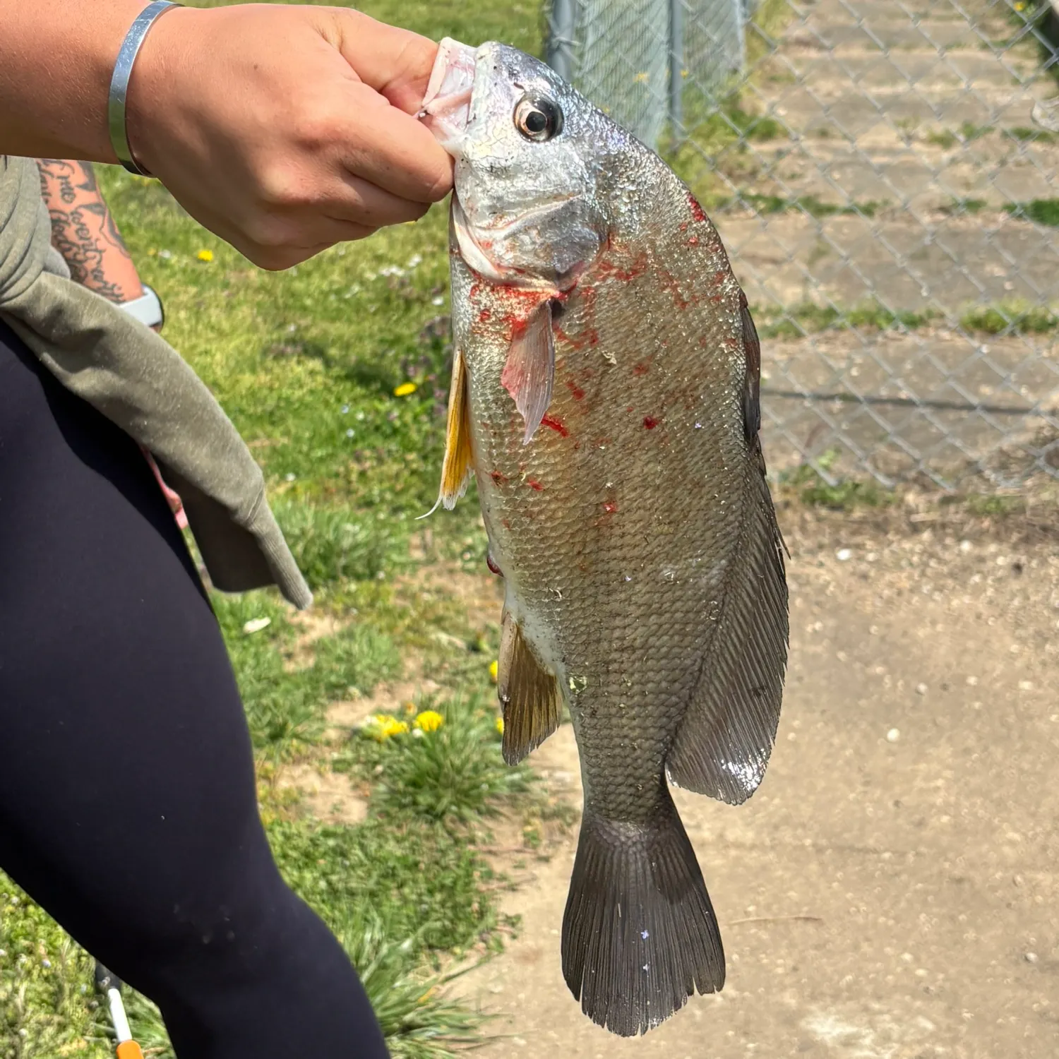 catch