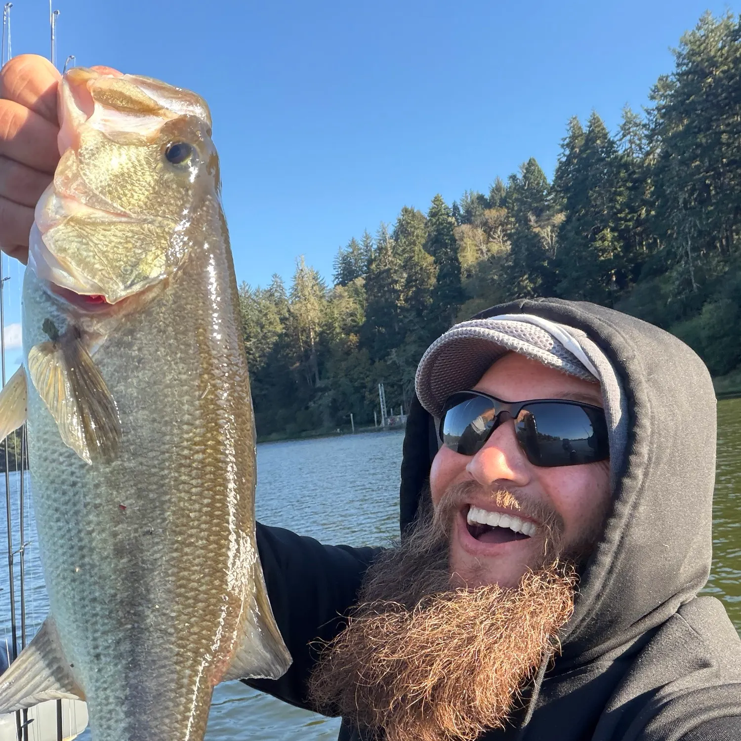 Largemouth bass caught on Fishbrain