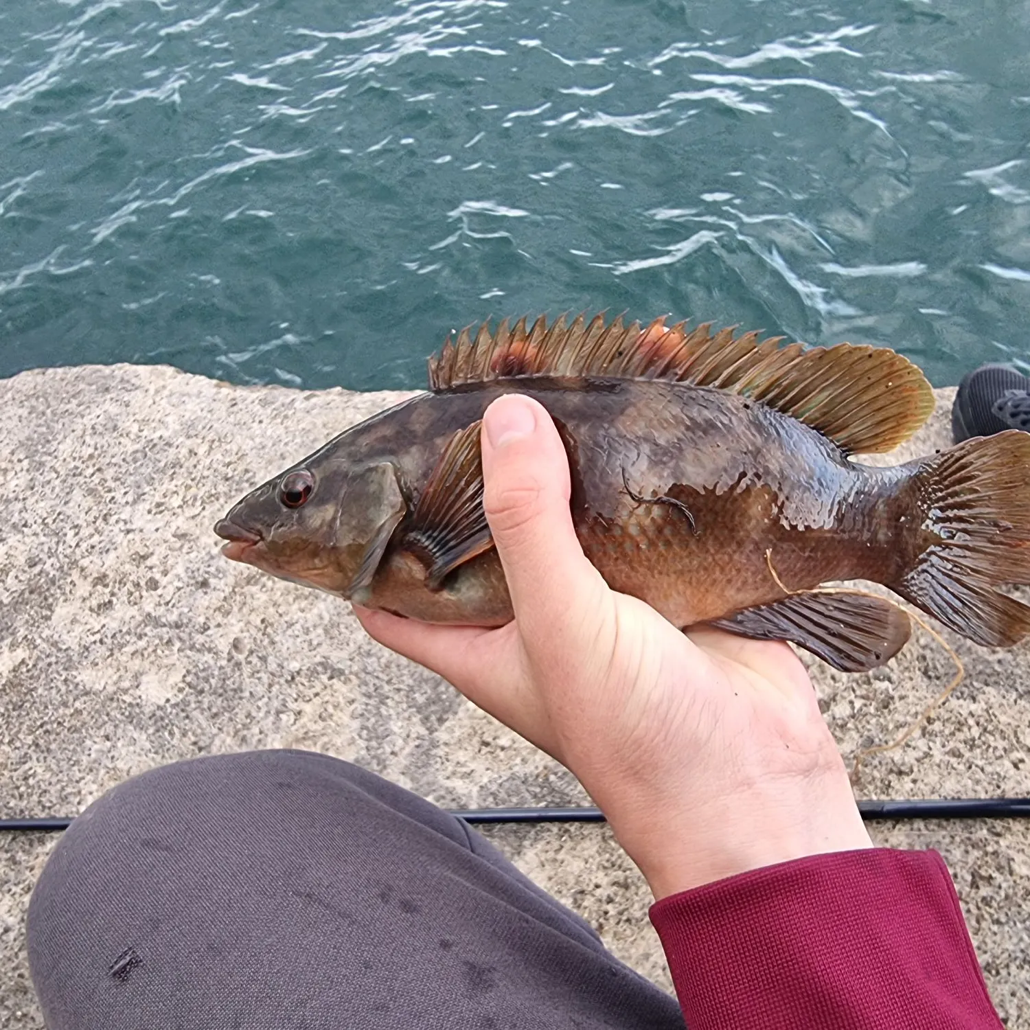 catch