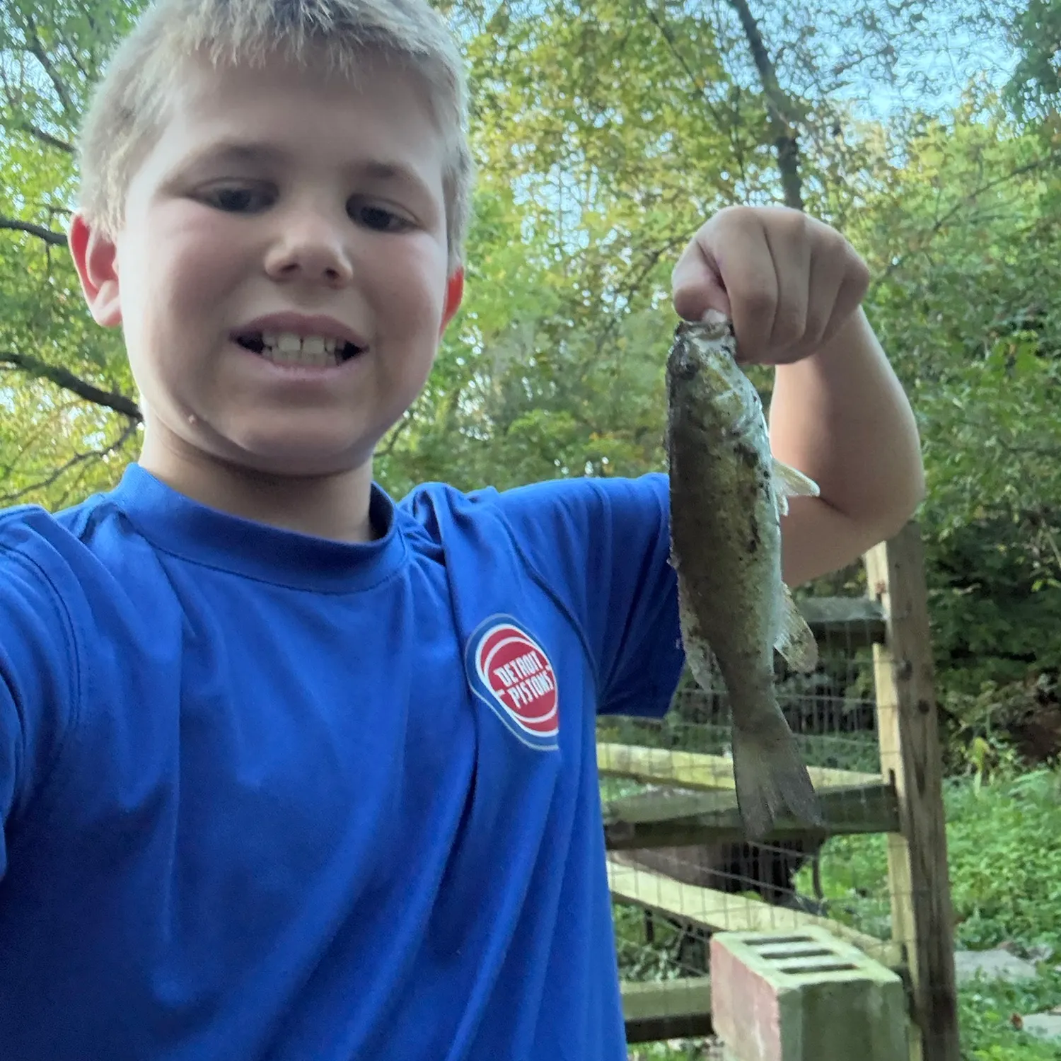 Smallmouth bass caught on Fishbrain