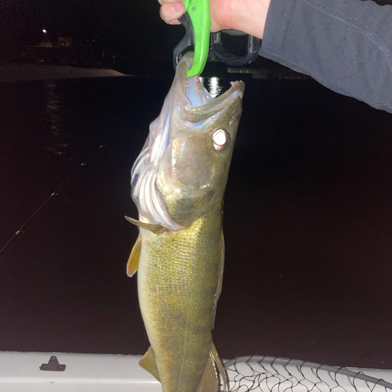 Walleye caught on Fishbrain