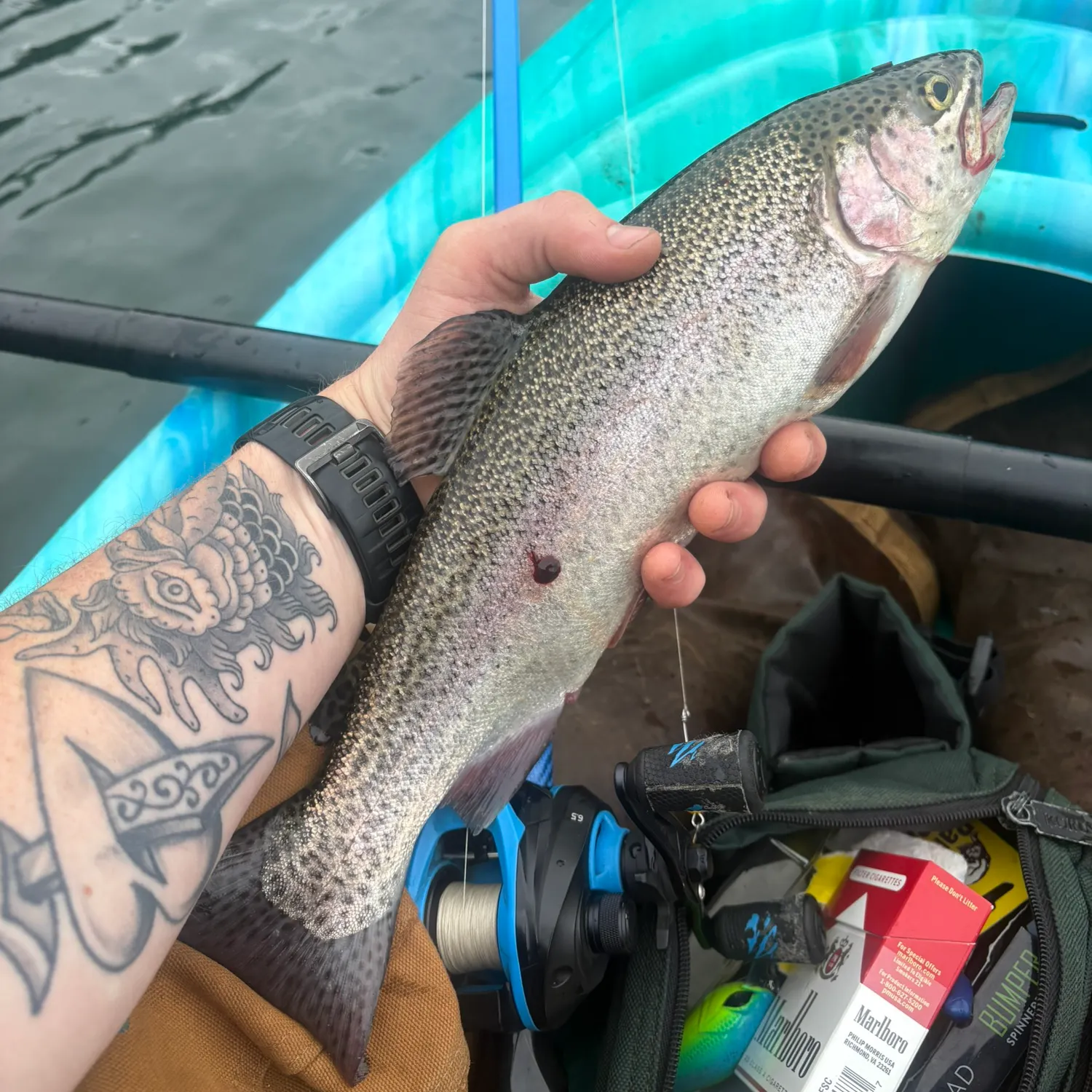recently logged catches