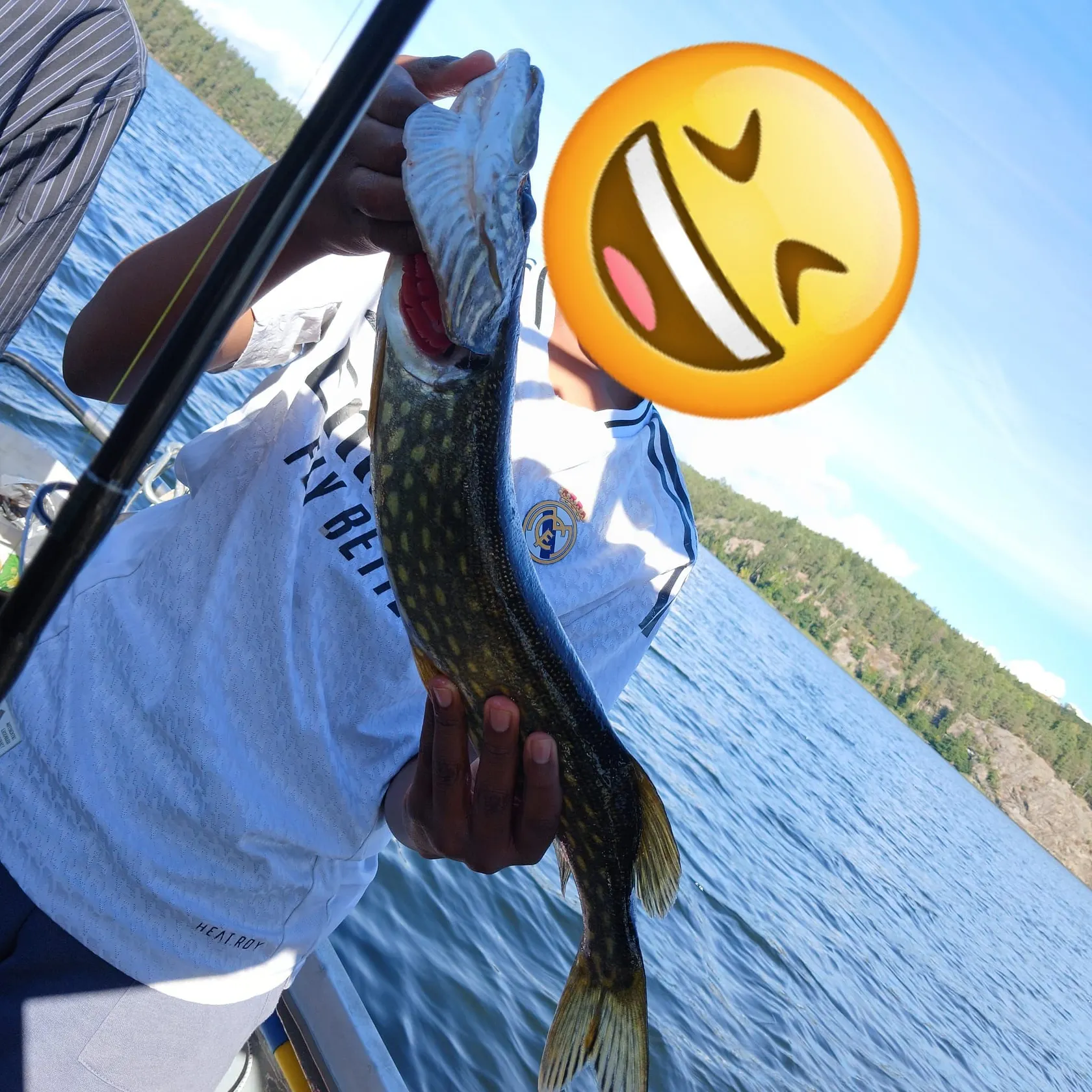 Northern pike caught on Fishbrain
