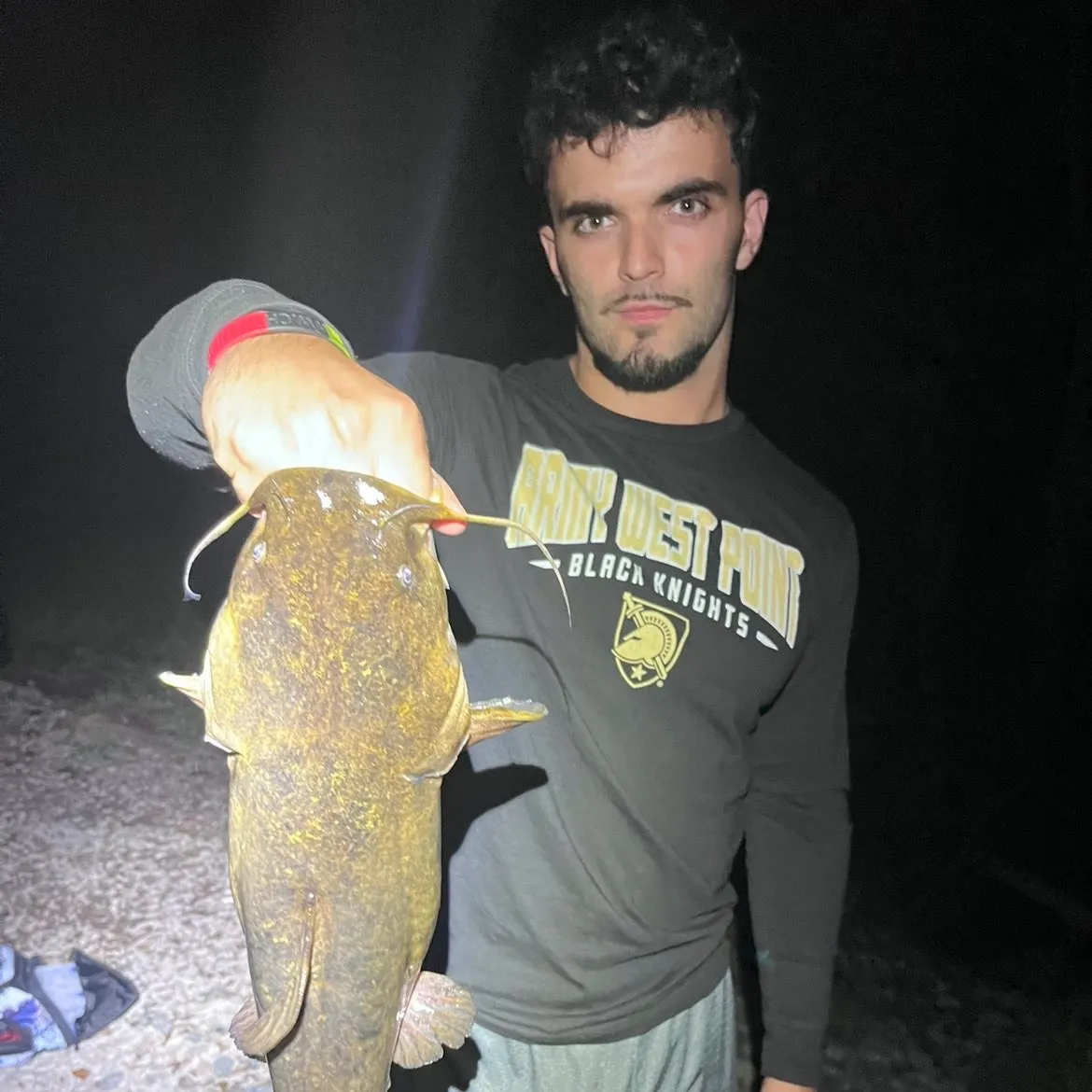 Flathead catfish caught on Fishbrain