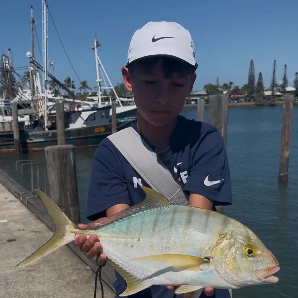 The most recent Golden trevally catches on Fishbrain
