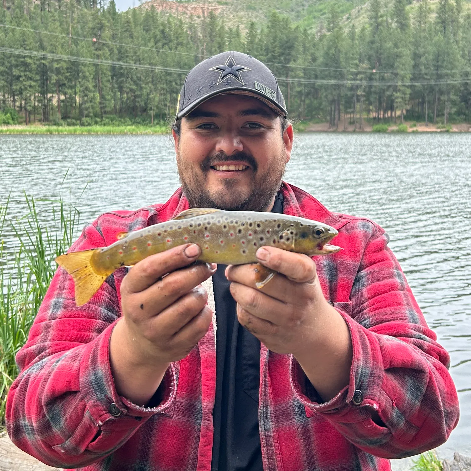 The most recent Brown trout catches on Fishbrain
