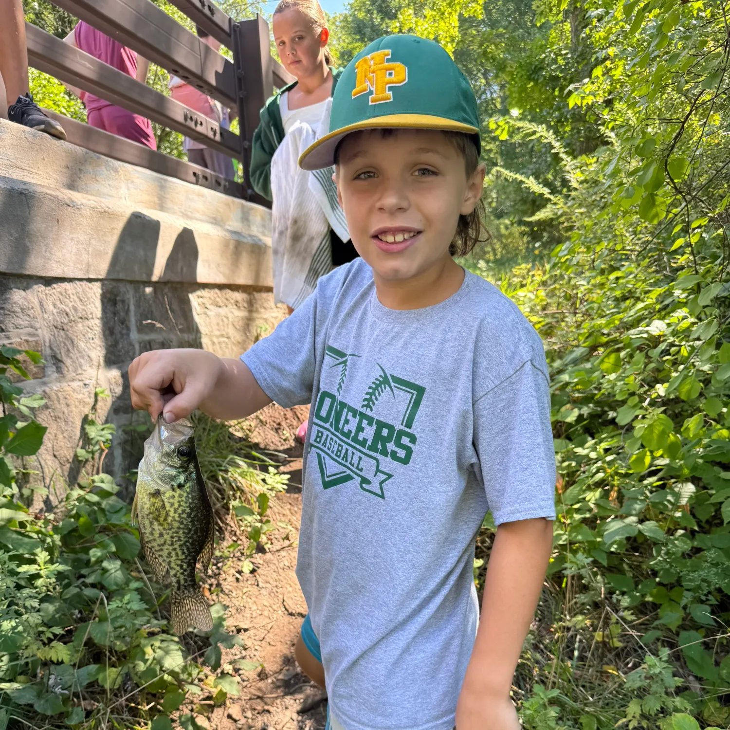 Black crappie caught on Fishbrain
