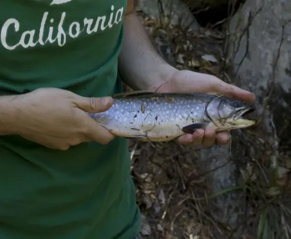 Post image from codyhough