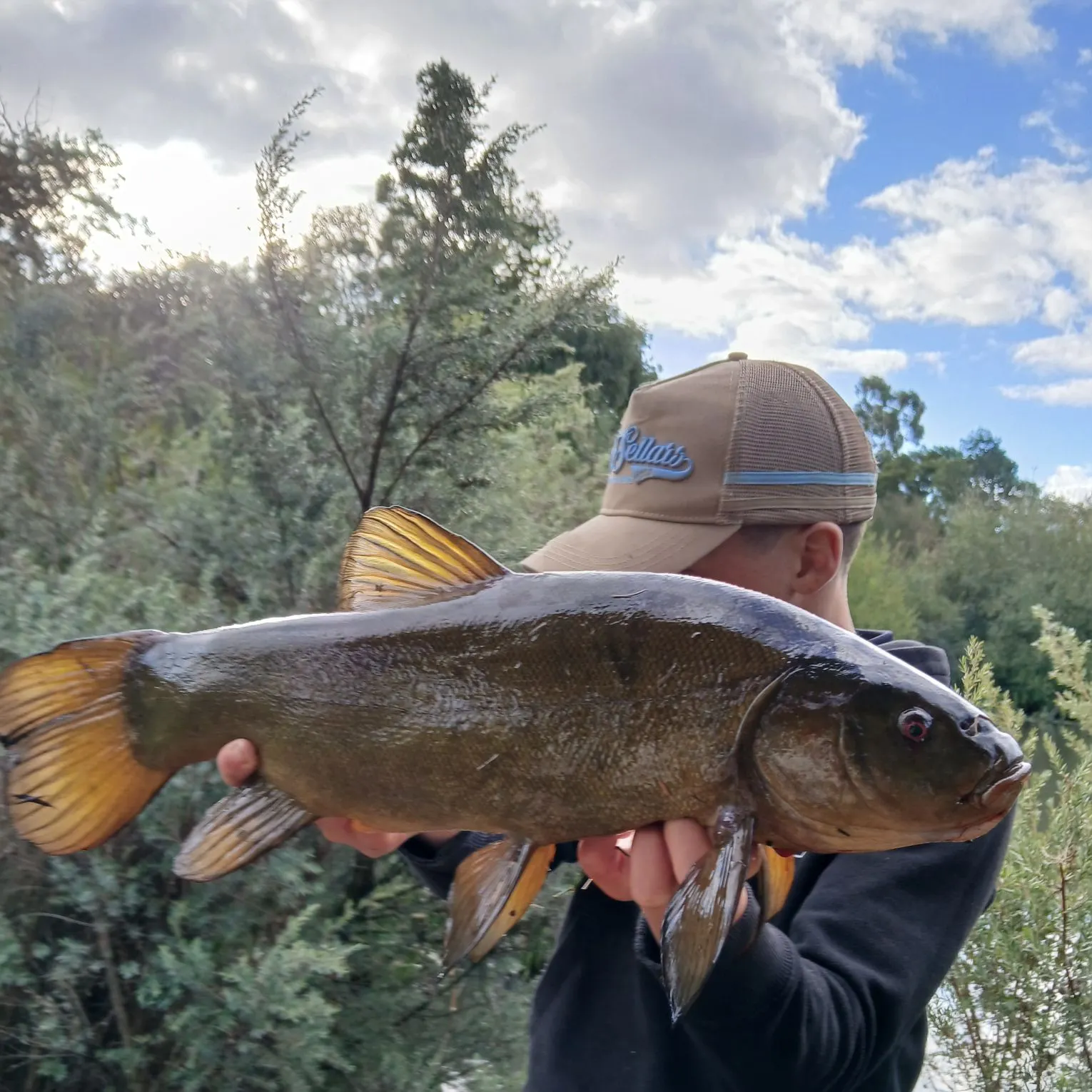 The most recent Tench catches on Fishbrain