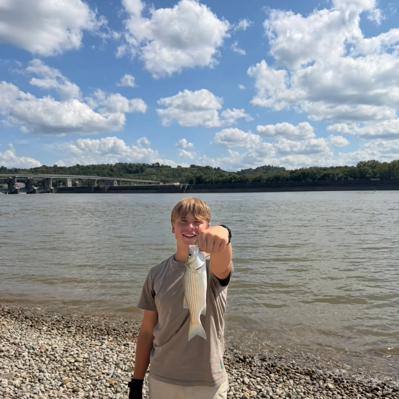 Striped bass caught on Fishbrain
