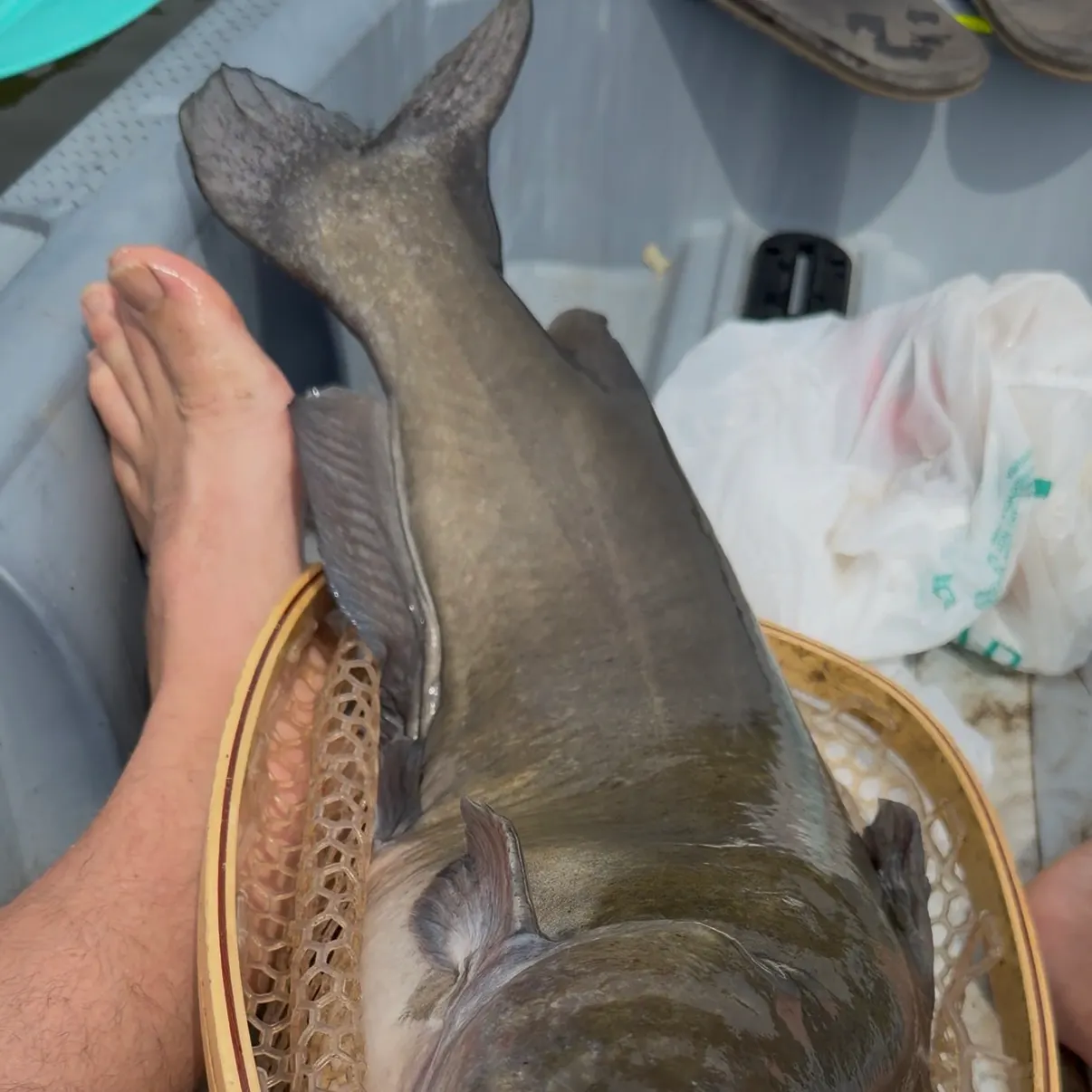 catch