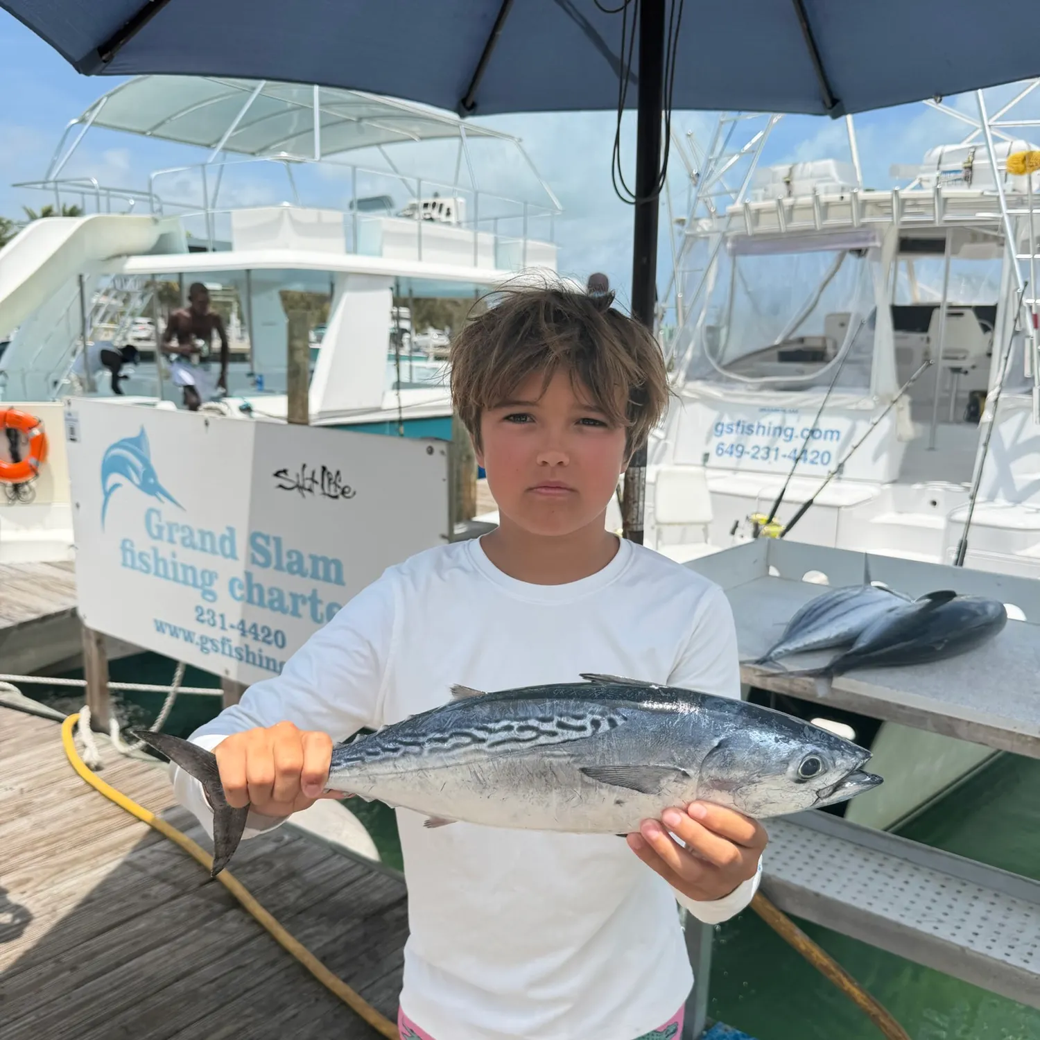 The most recent Plain bonito catches on Fishbrain