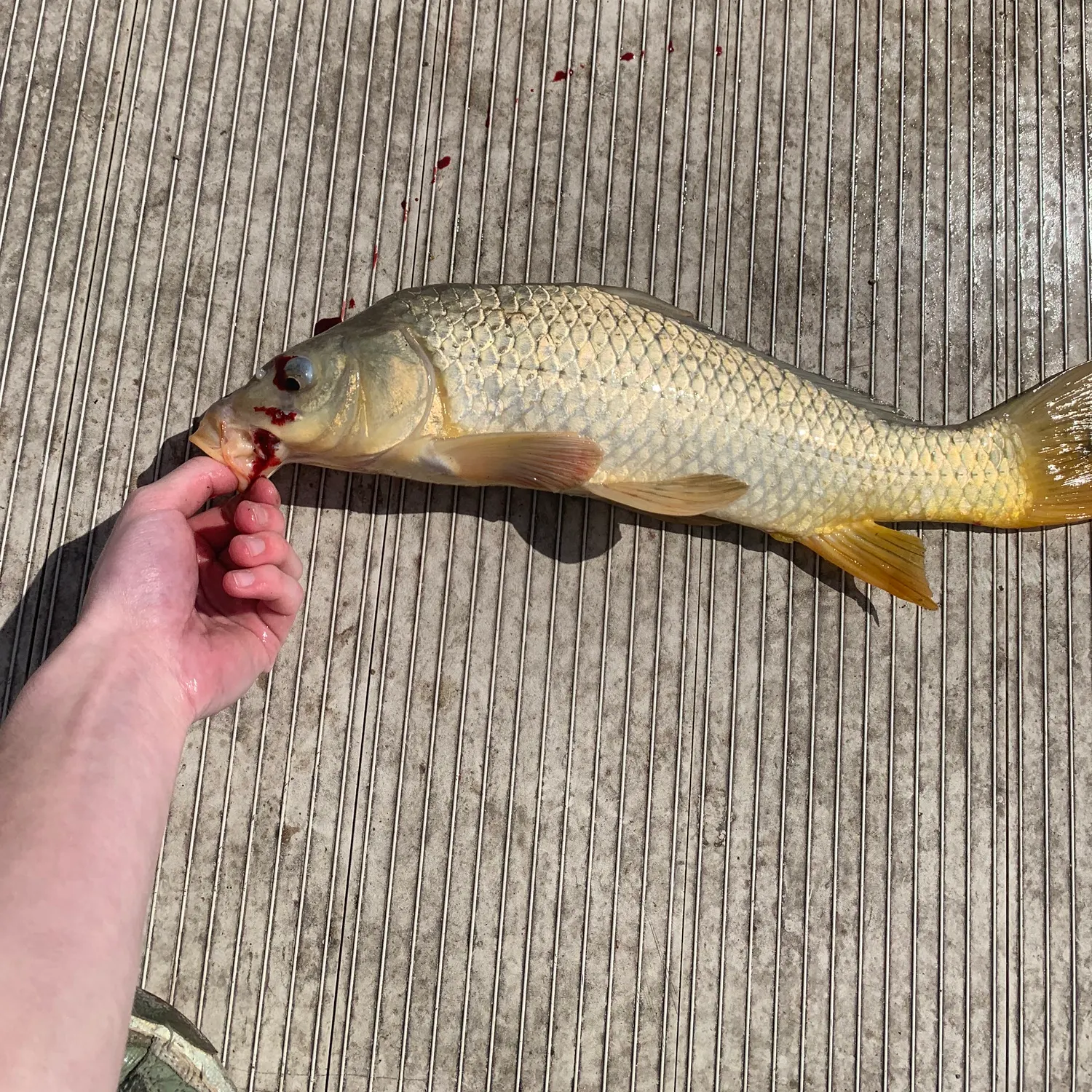 catch